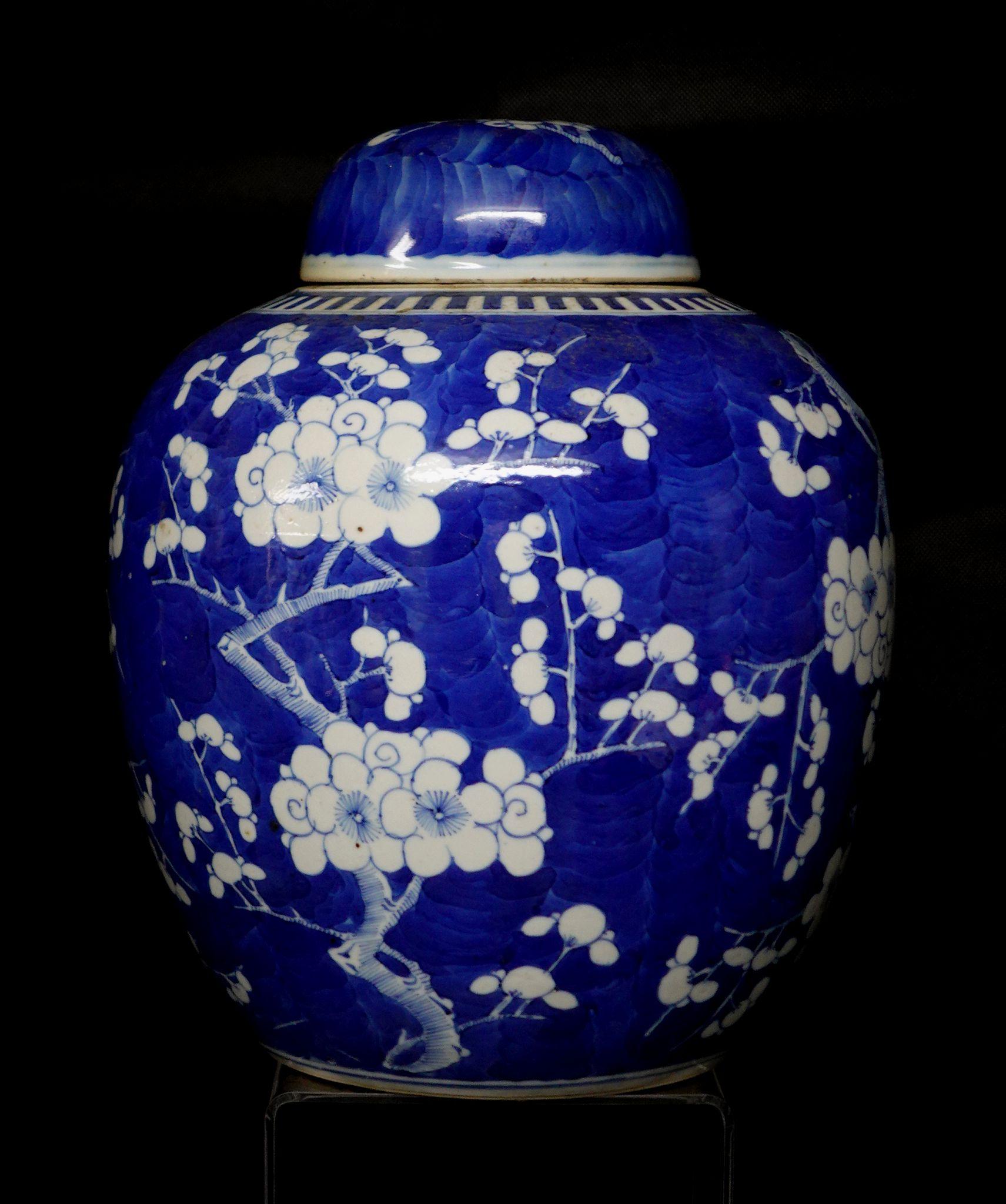 Qing Chinese Export Blue and White Porcelain Hawthorn Rose Jar with Lid, 19th Century