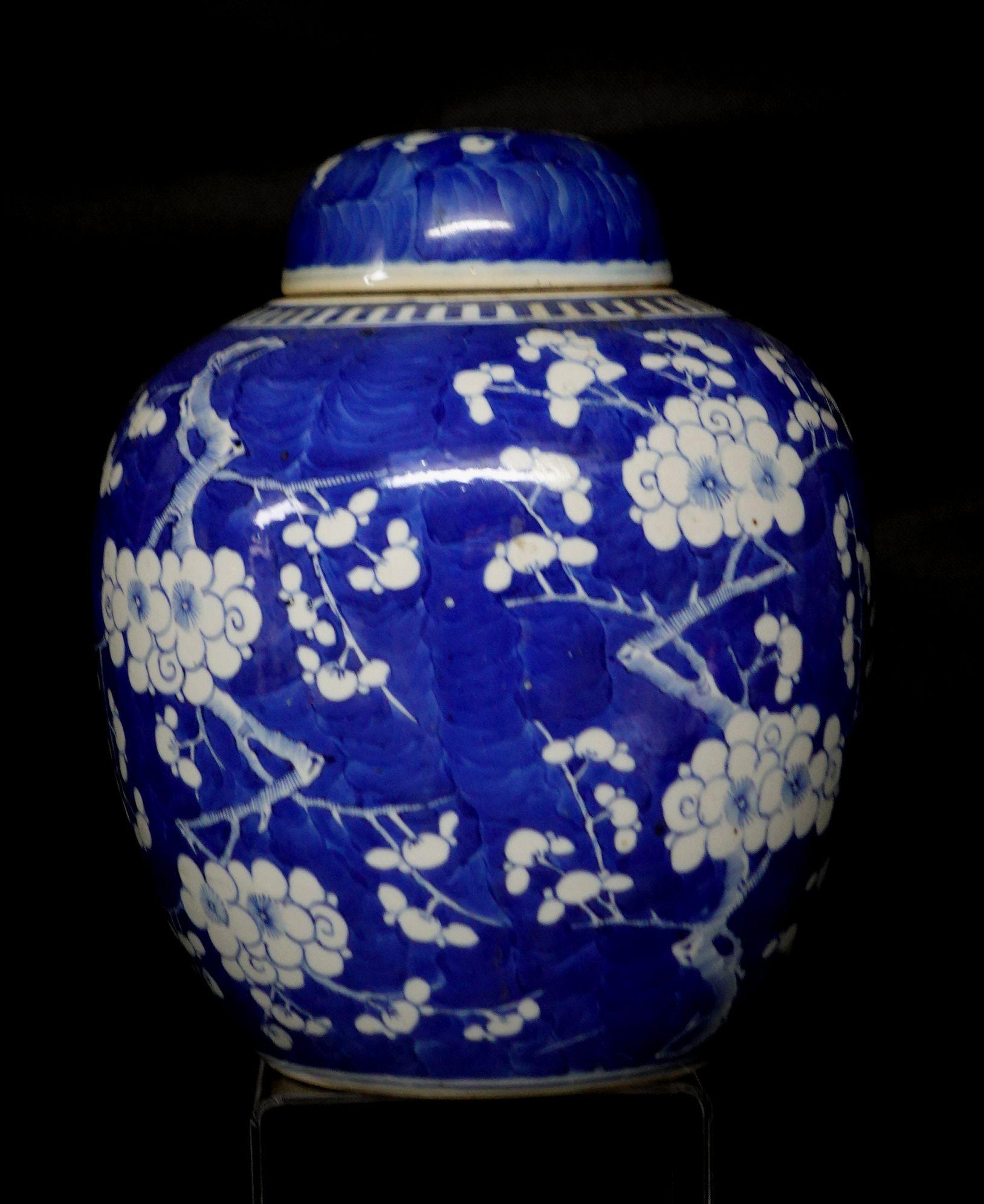 Hand-Painted Chinese Export Blue and White Porcelain Hawthorn Rose Jar with Lid, 19th Century