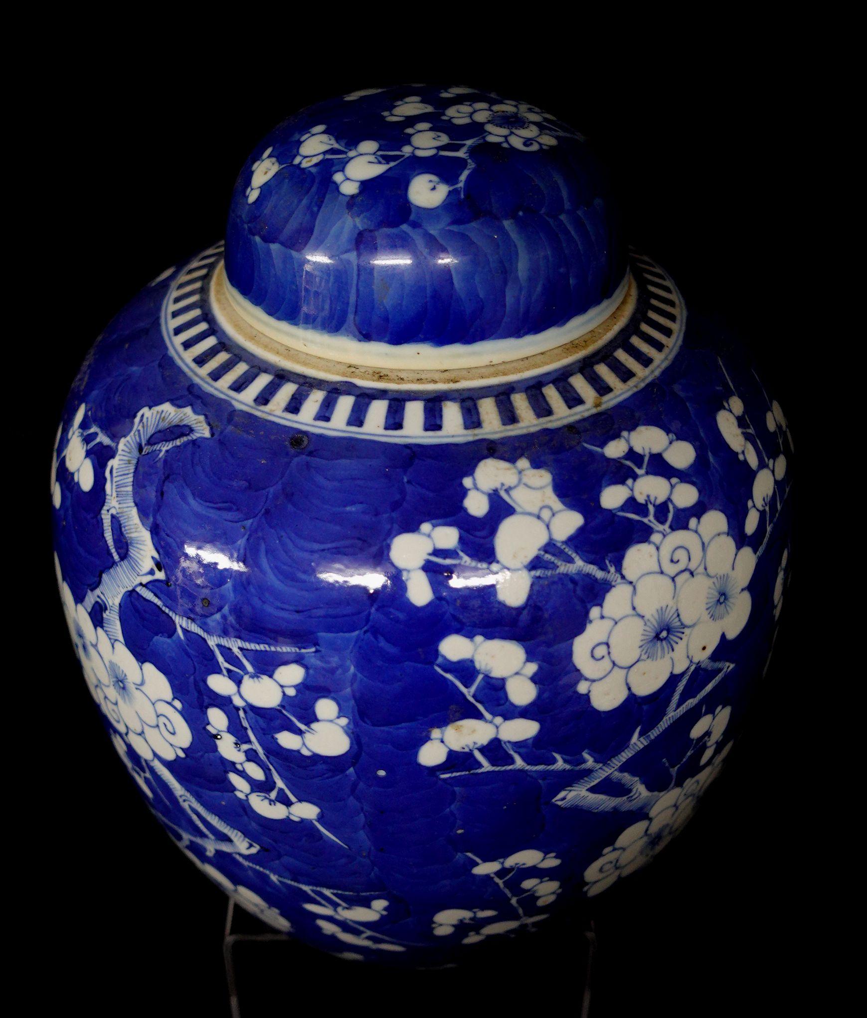 Chinese Export Blue and White Porcelain Hawthorn Rose Jar with Lid, 19th Century In Good Condition In Norton, MA