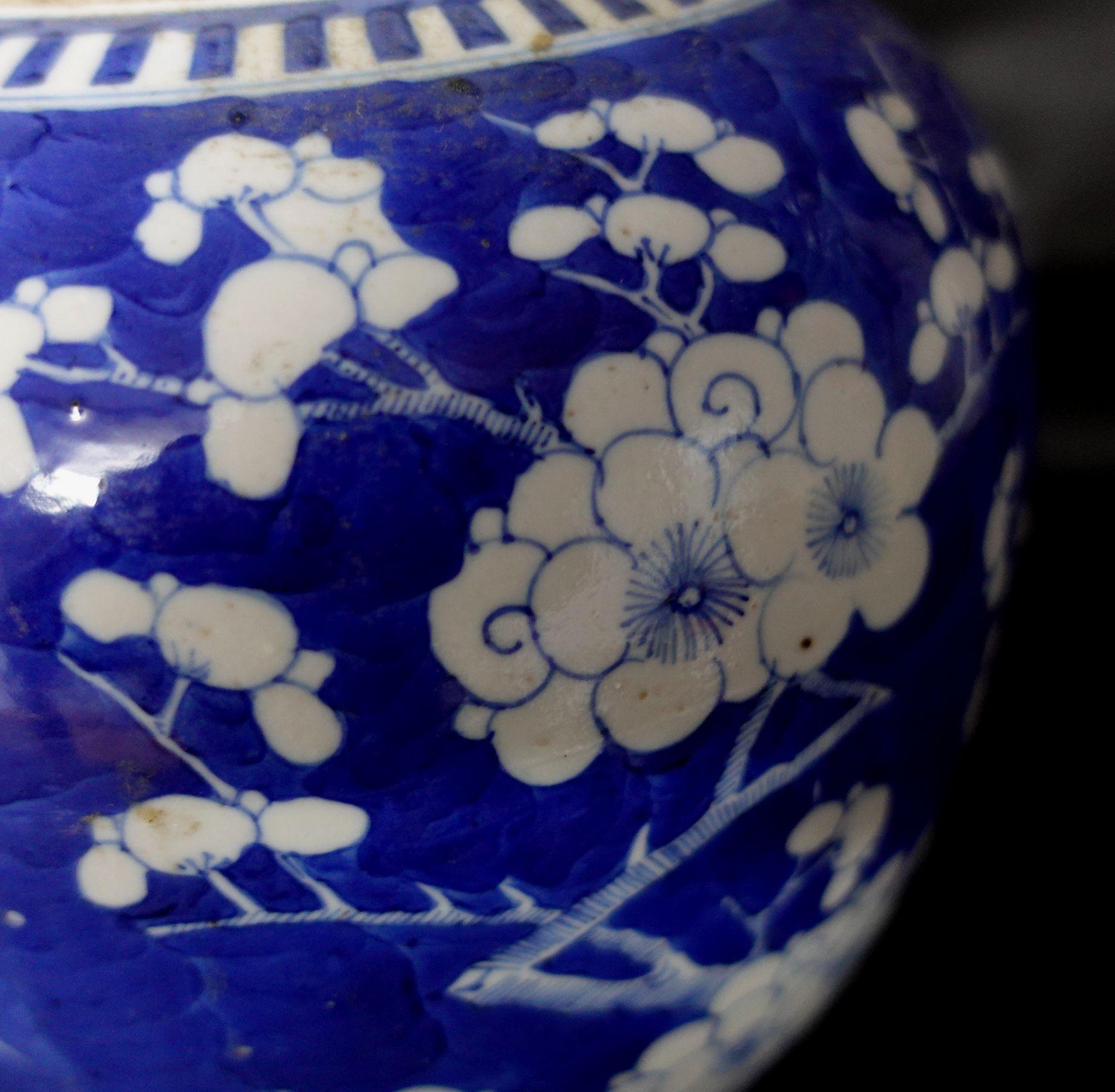 Chinesisches Export-Porzellan, blau-weiß, Weißdornrose, JAR mit Deckel, 19. (19. Jahrhundert)