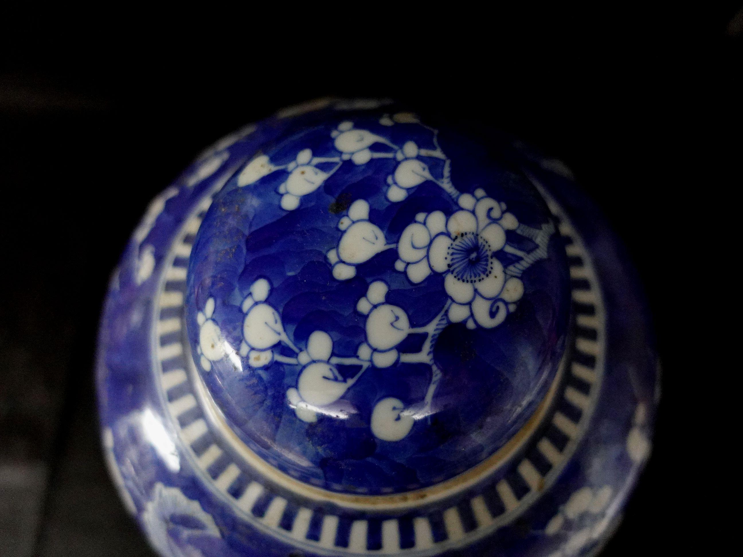Chinesisches Export-Porzellan, blau-weiß, Weißdornrose, JAR mit Deckel, 19. 2
