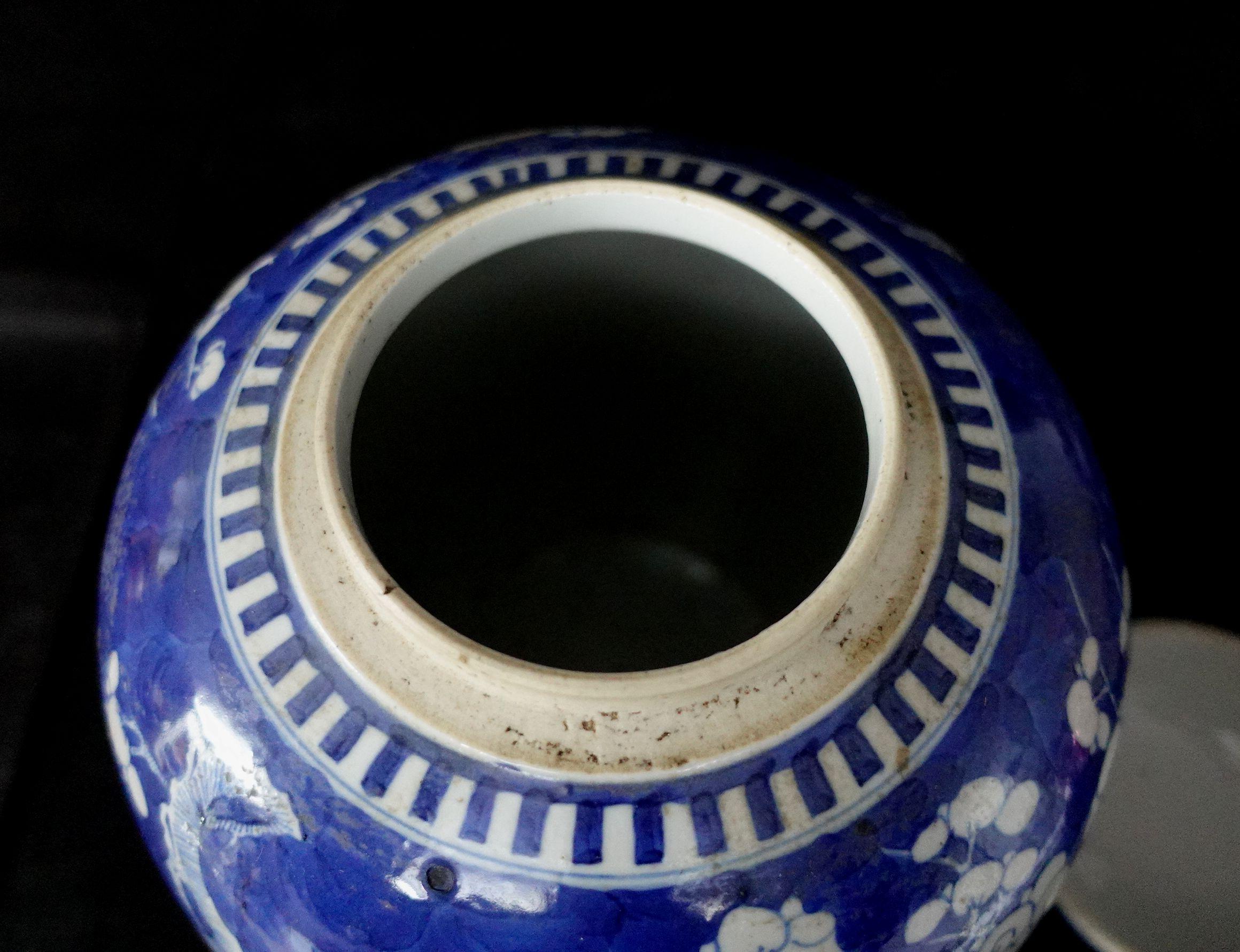 Chinese Export Blue and White Porcelain Hawthorn Rose Jar with Lid, 19th Century 4