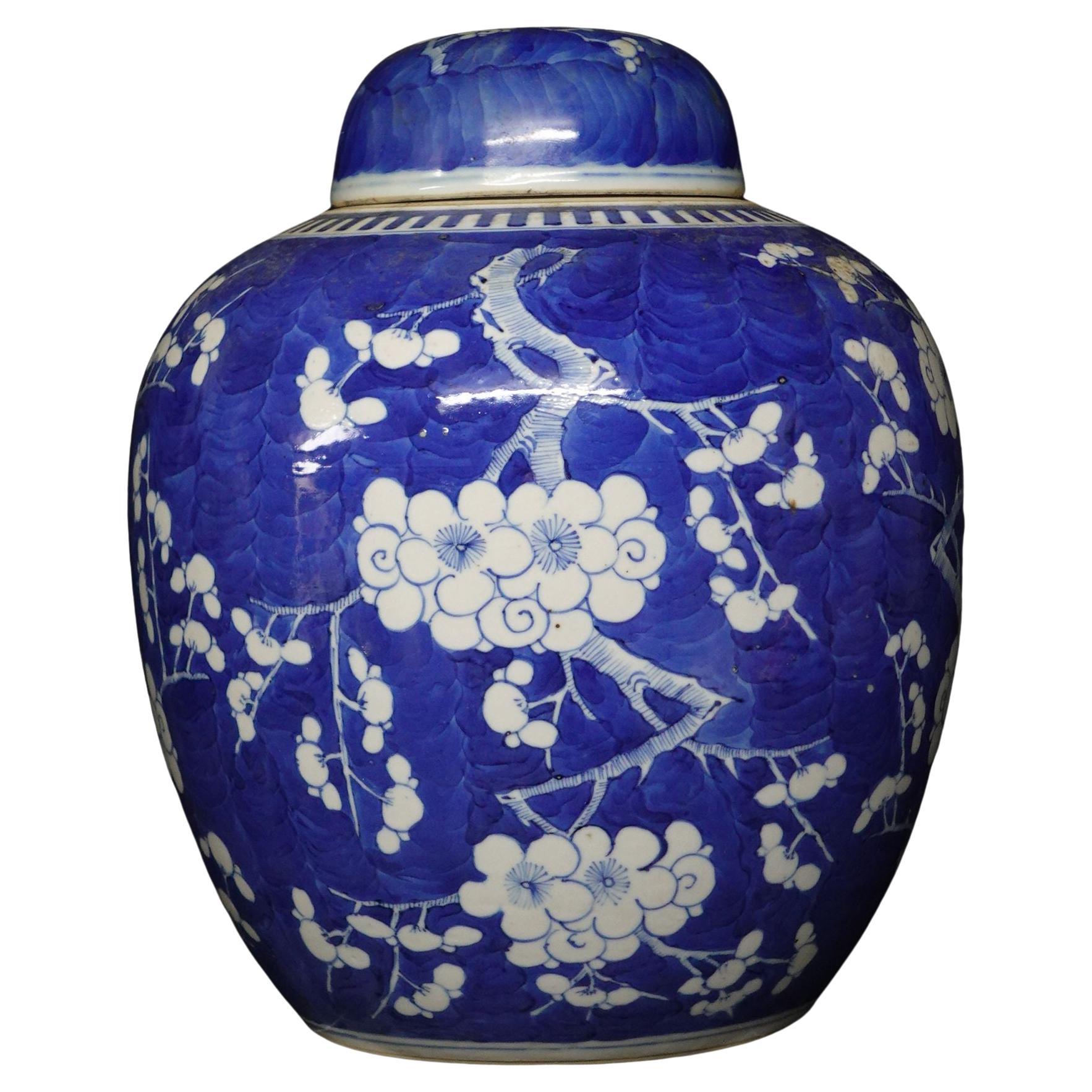 Chinesisches Export-Porzellan, blau-weiß, Weißdornrose, JAR mit Deckel, 19.