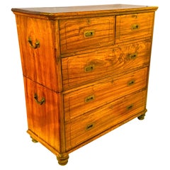 Chinese Export Camphor Wood Brass Bound Chest