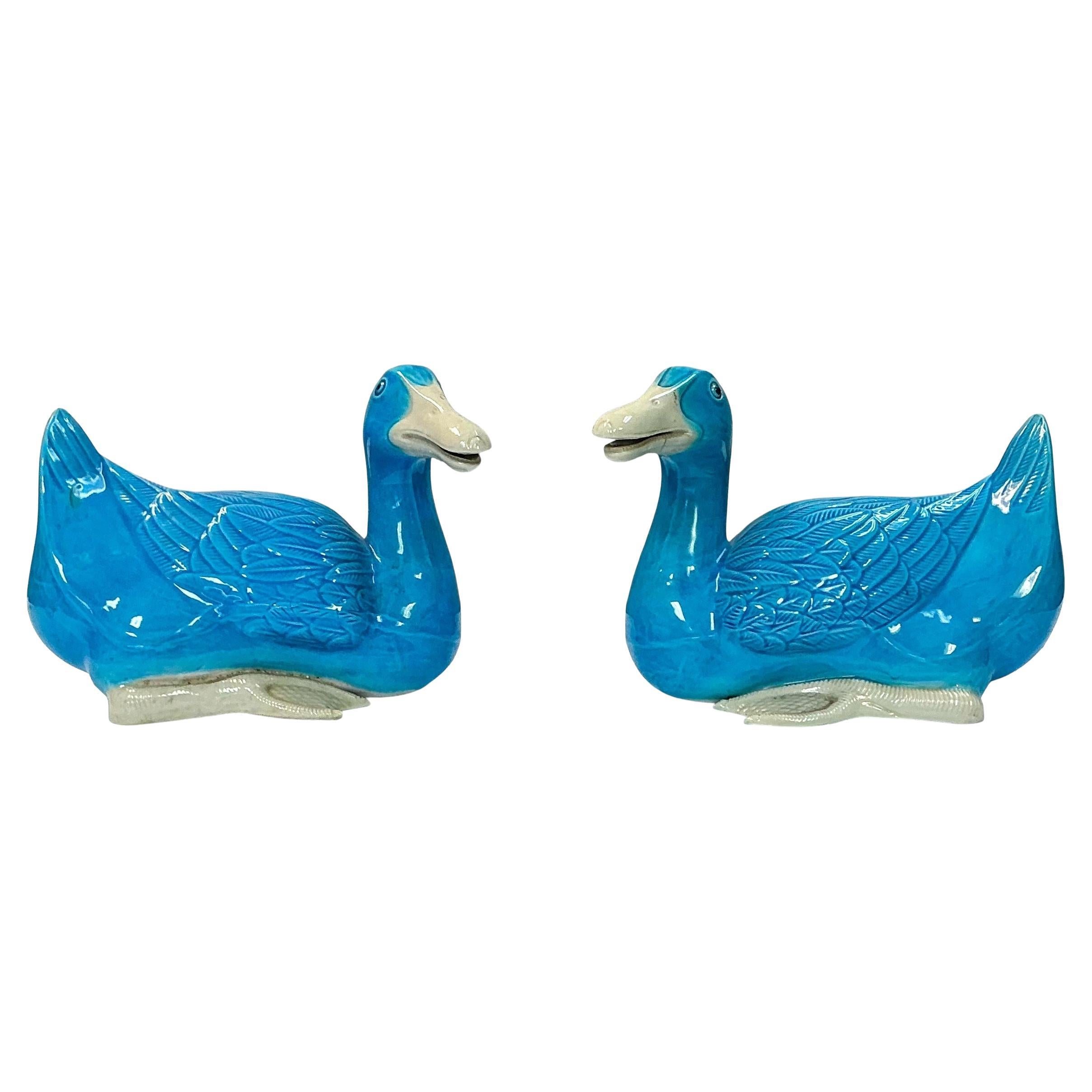 Céramique d'exportation chinoise  Canards turquoise peints à la main - Paire