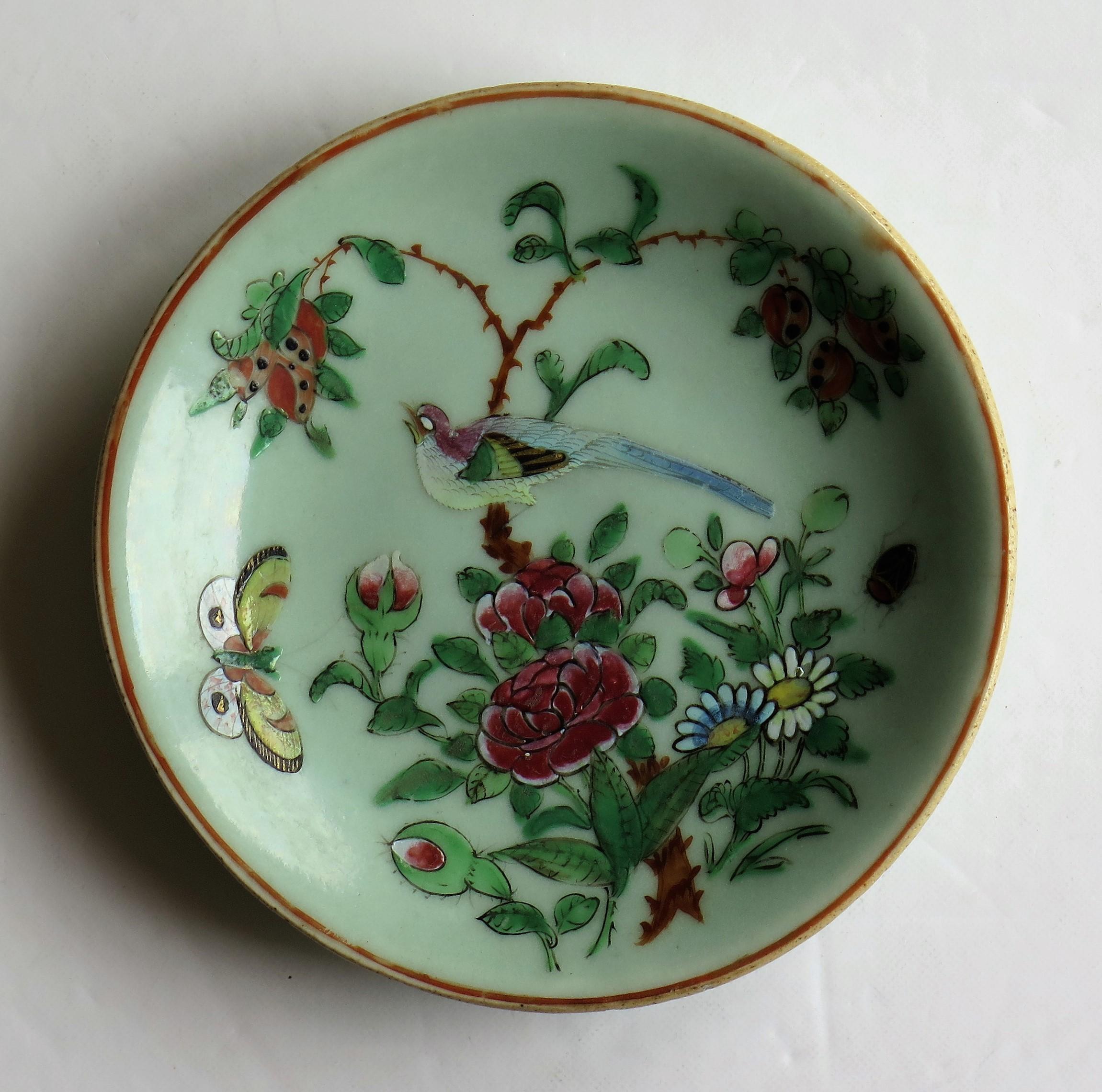 This is a good porcelain Chinese Export, (Canton) small plate or dish with a celadon glaze, hand painted in the Famille Rose palette, which we date to the early 19th century, circa 1820 of the Qing dynasty.

The plate has a light green, Celadon