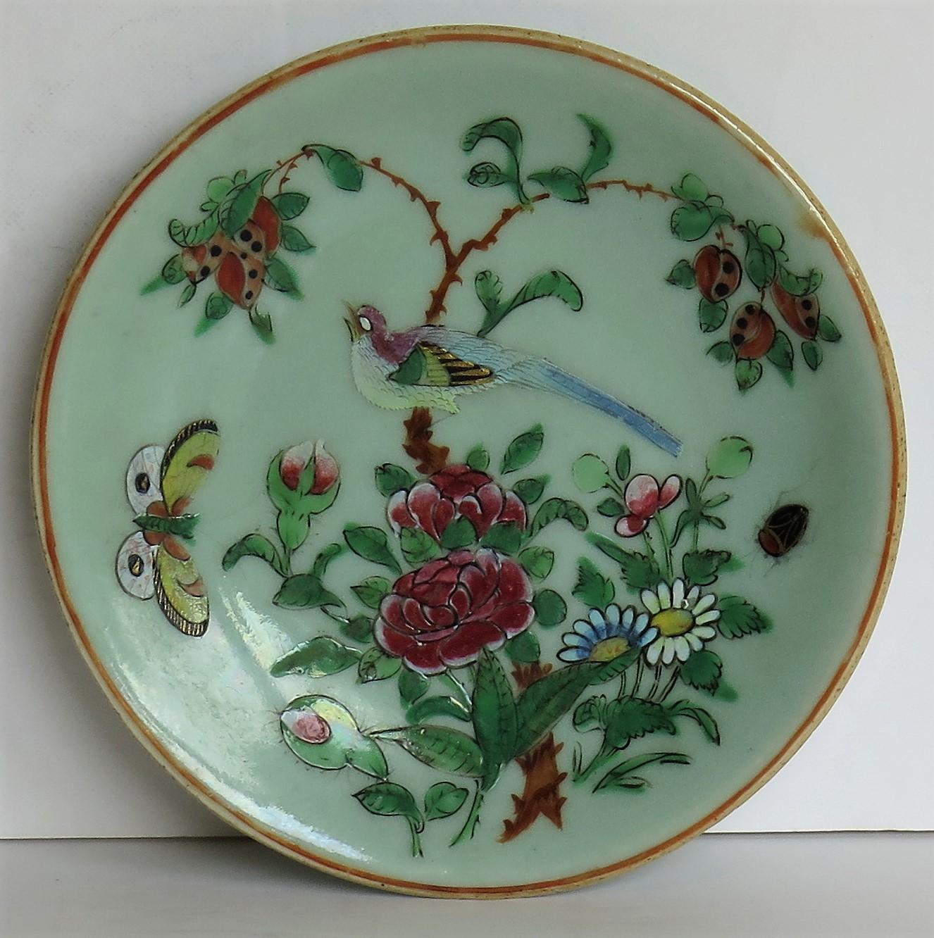 Hand-Painted Chinese Export Plate Celadon Glaze Famille Rose Hand Painted, Qing, circa 1820