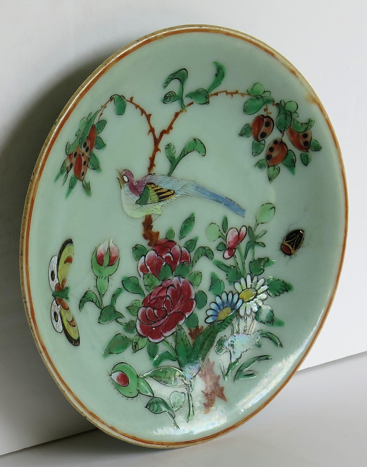 Chinese Export Plate Celadon Glaze Famille Rose Hand Painted, Qing, circa 1820 In Good Condition In Lincoln, Lincolnshire