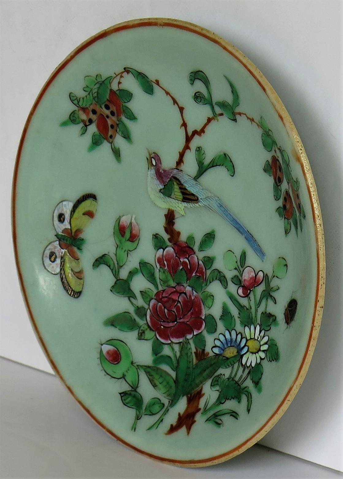 19th Century Chinese Export Plate Celadon Glaze Famille Rose Hand Painted, Qing, circa 1820