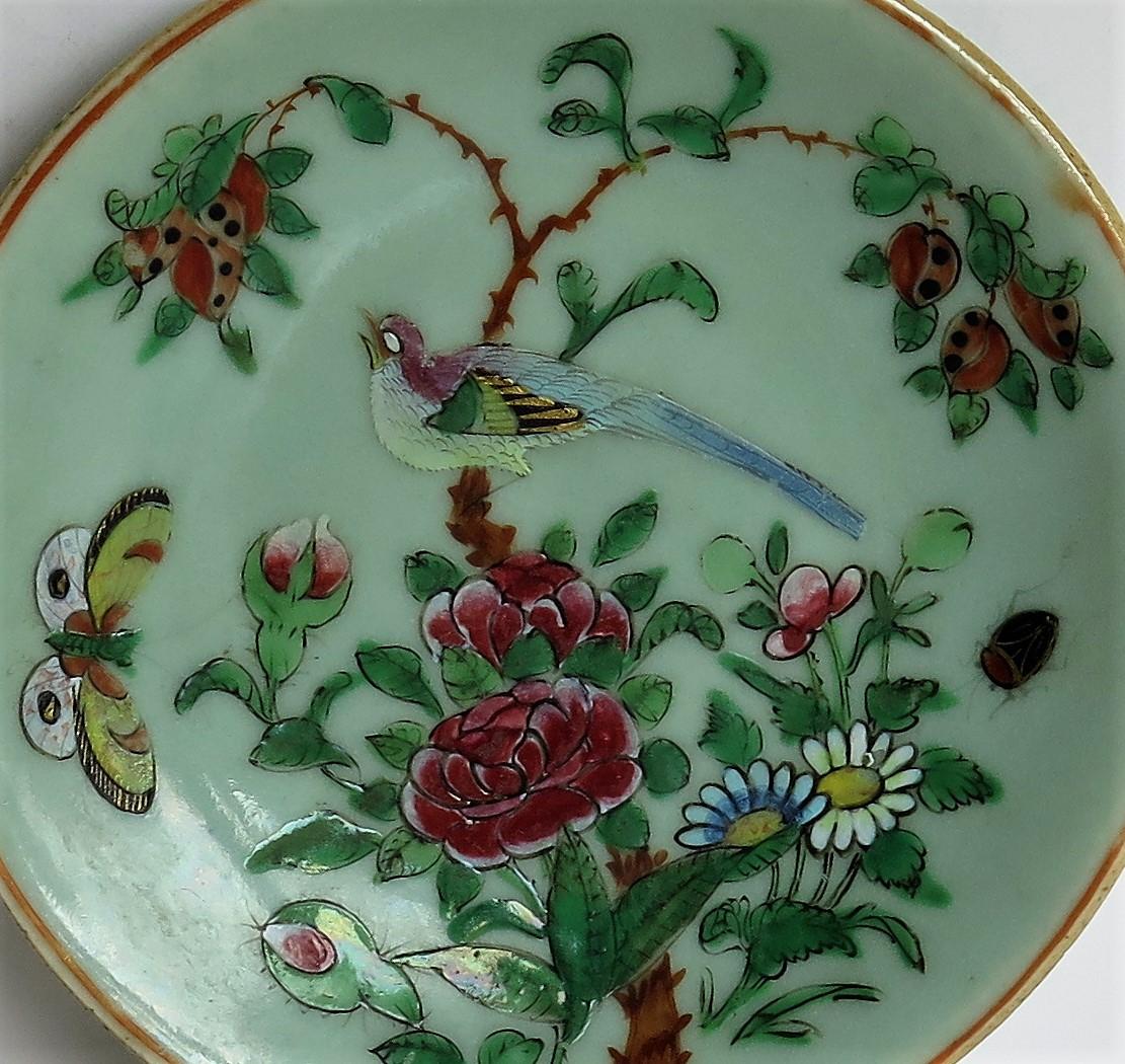 Porcelain Chinese Export Plate Celadon Glaze Famille Rose Hand Painted, Qing, circa 1820