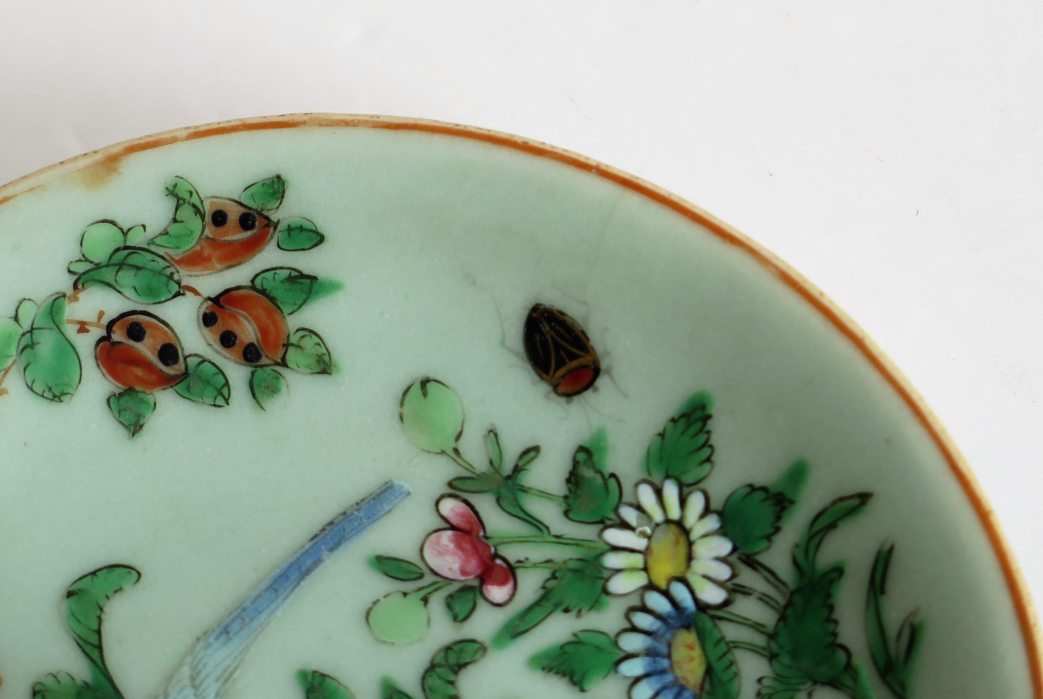 Chinese Export Plate Celadon Glaze Famille Rose Hand Painted, Qing, circa 1820 1