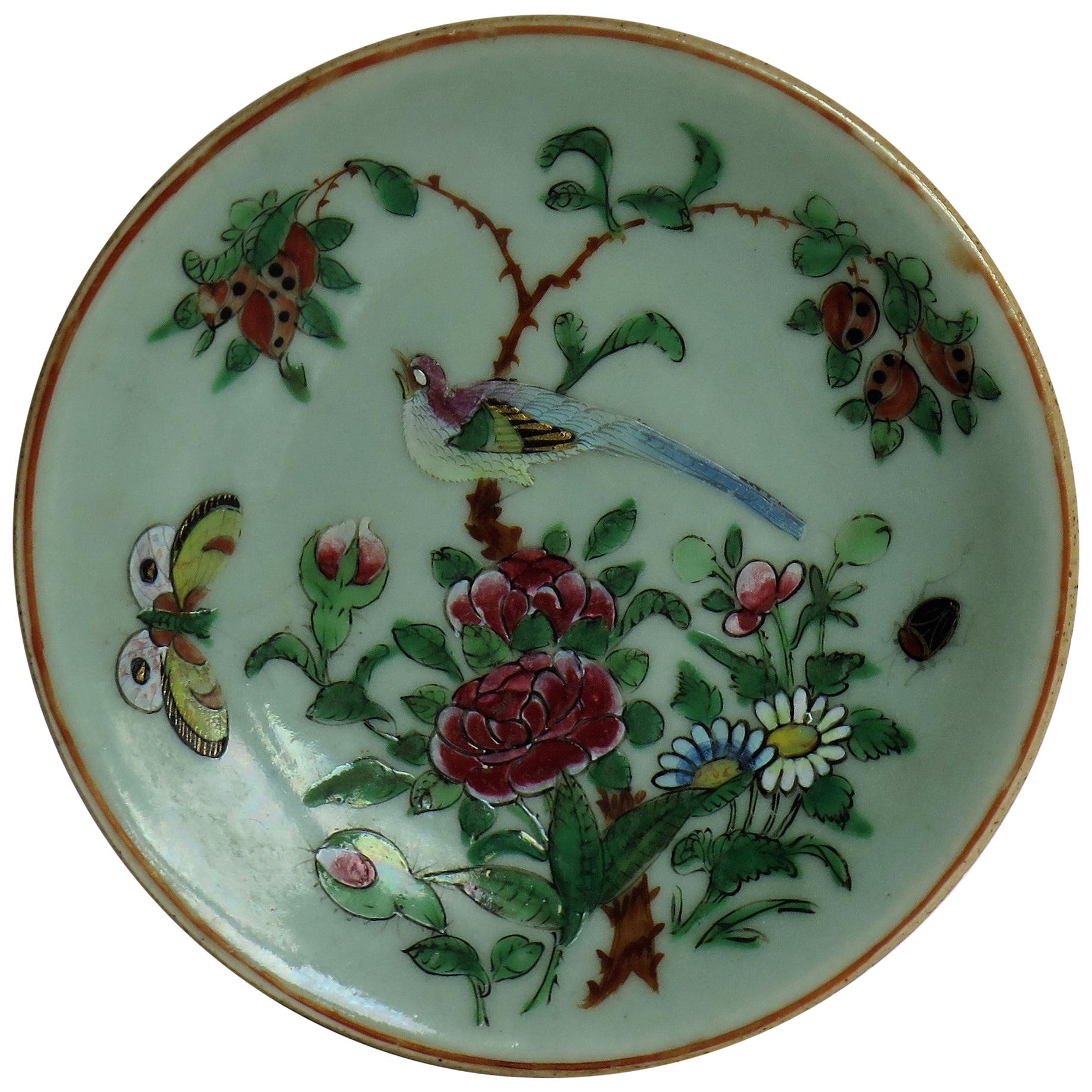 Chinese Export Plate Celadon Glaze Famille Rose Hand Painted, Qing, circa 1820