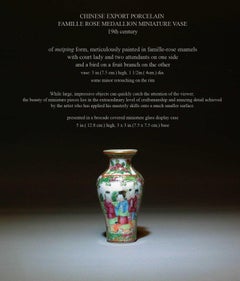 Chinese Export Porcelain Famille Rose Medallion Miniature Vase, 19th Century