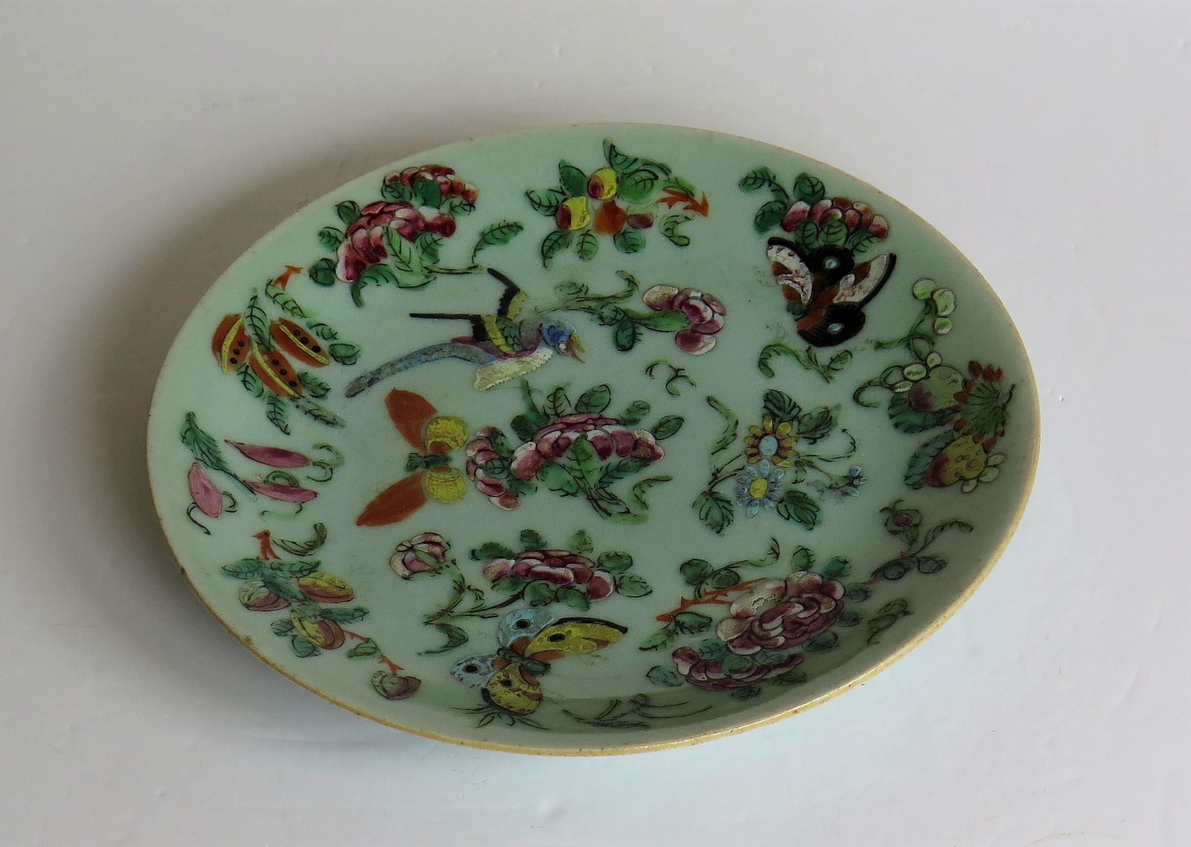 Chinese Export Porcelain Plate or Dish Celadon Glaze Hand Painted, Qing Ca 1820 5