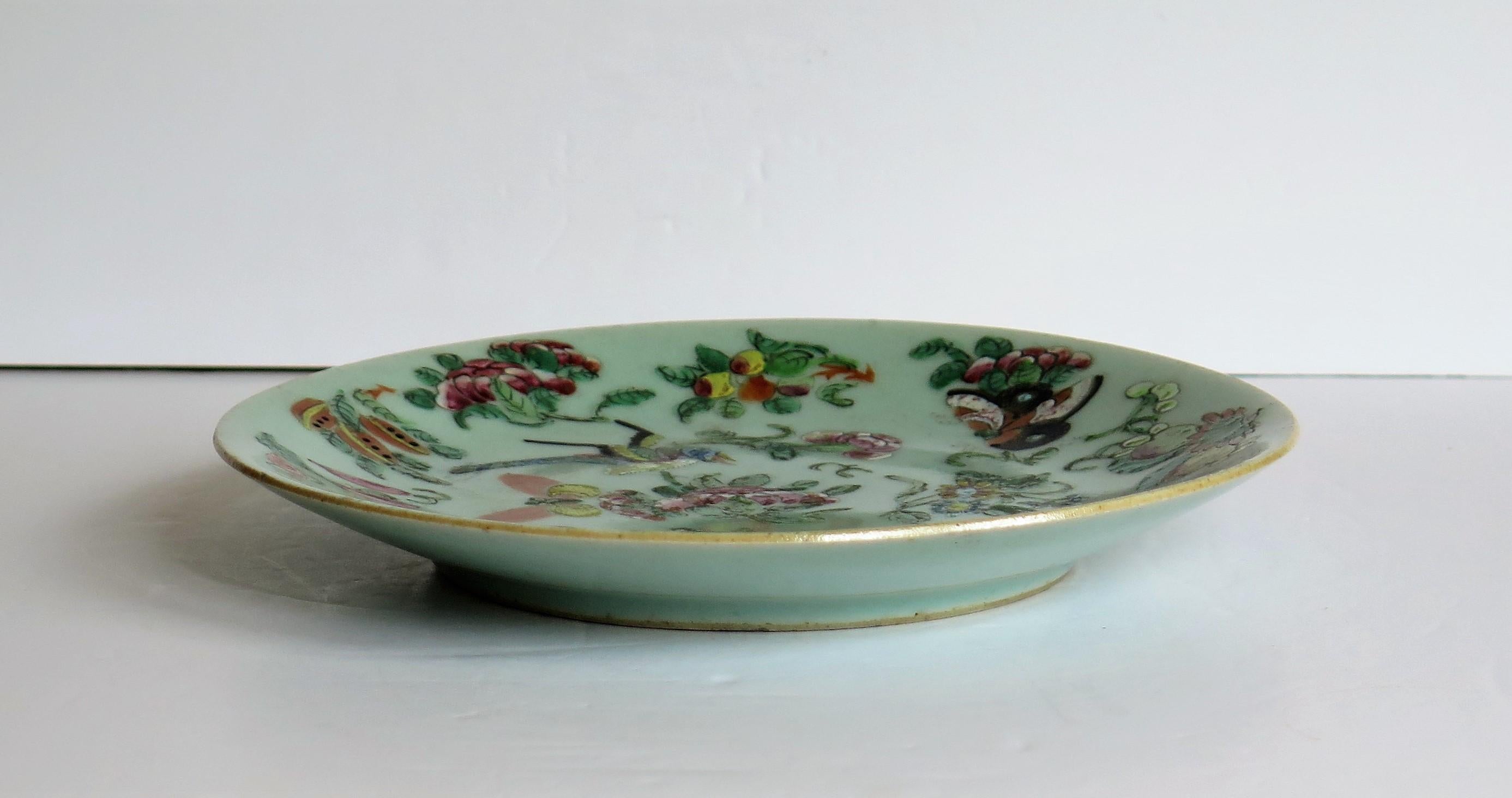 Chinese Export Porcelain Plate or Dish Celadon Glaze Hand Painted, Qing Ca 1820 7