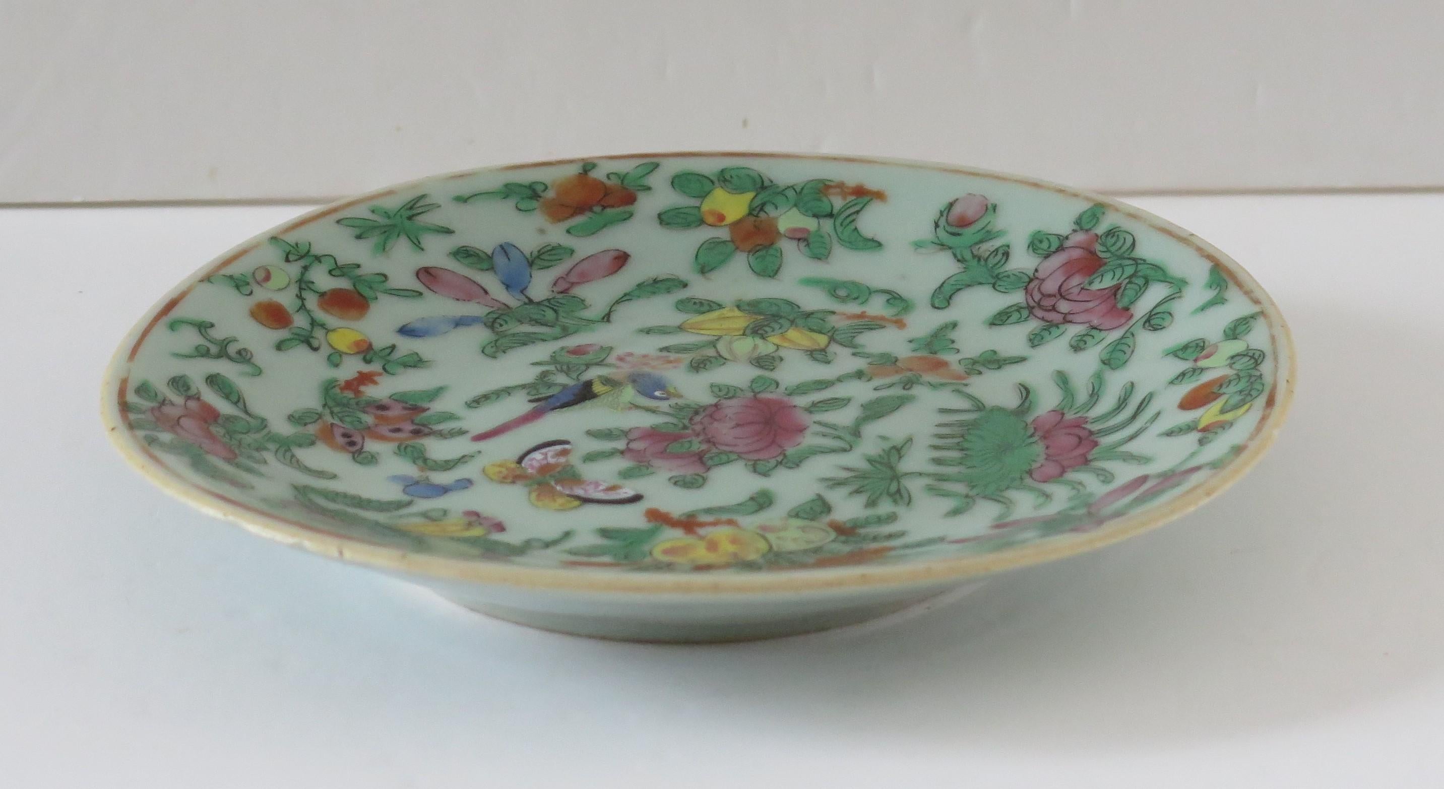 This is a very good 19th century Chinese Export, (Canton) deep plate or dish, which we date to the early 19th century, circa 1820 of the Qing dynasty.

The plate has a light green, Celadon ground glaze with beautifully hand painted decoration, in