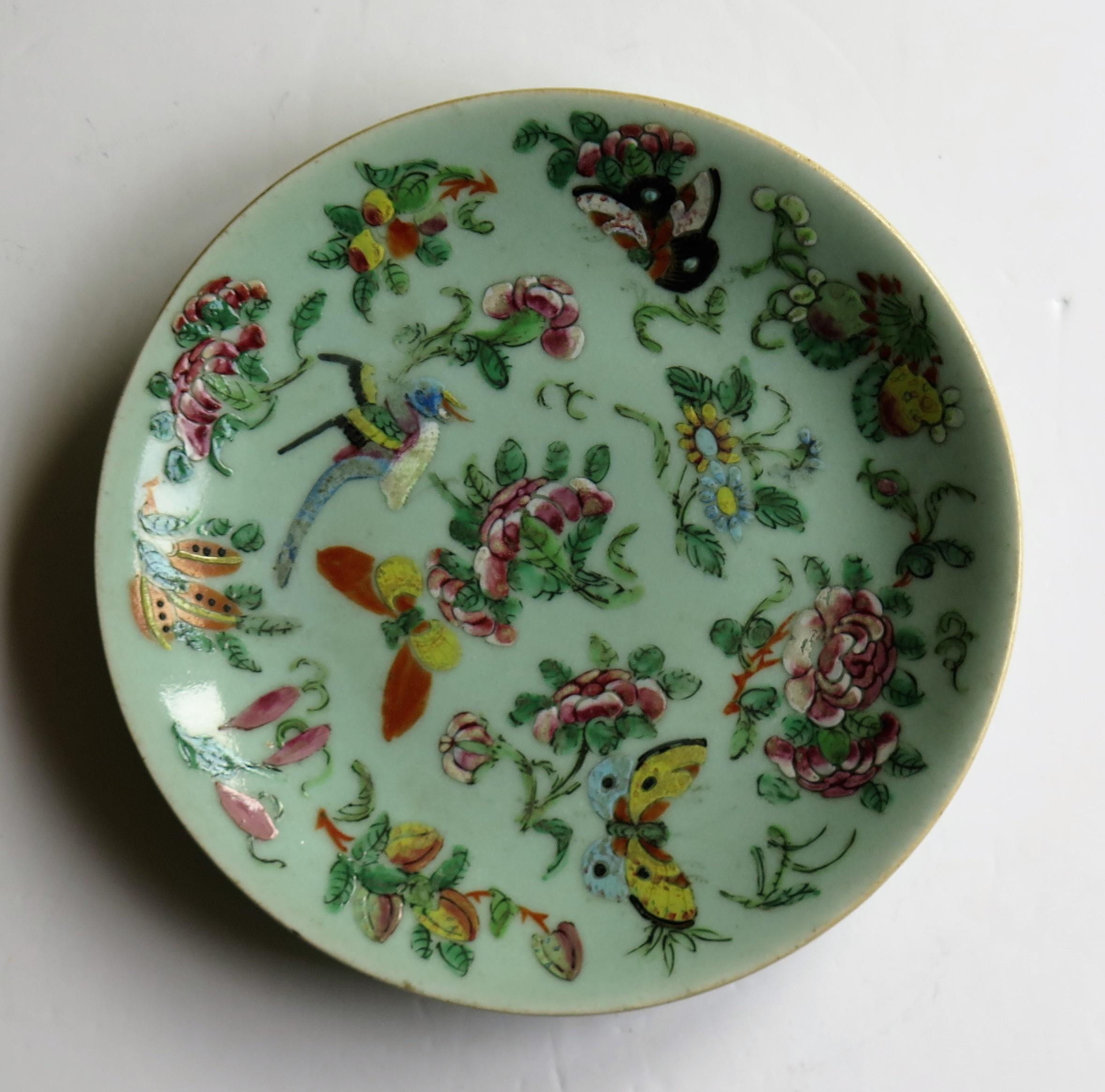 Chinese Export Porcelain Plate or Dish Celadon Glaze Hand Painted, Qing Ca 1820 In Good Condition In Lincoln, Lincolnshire