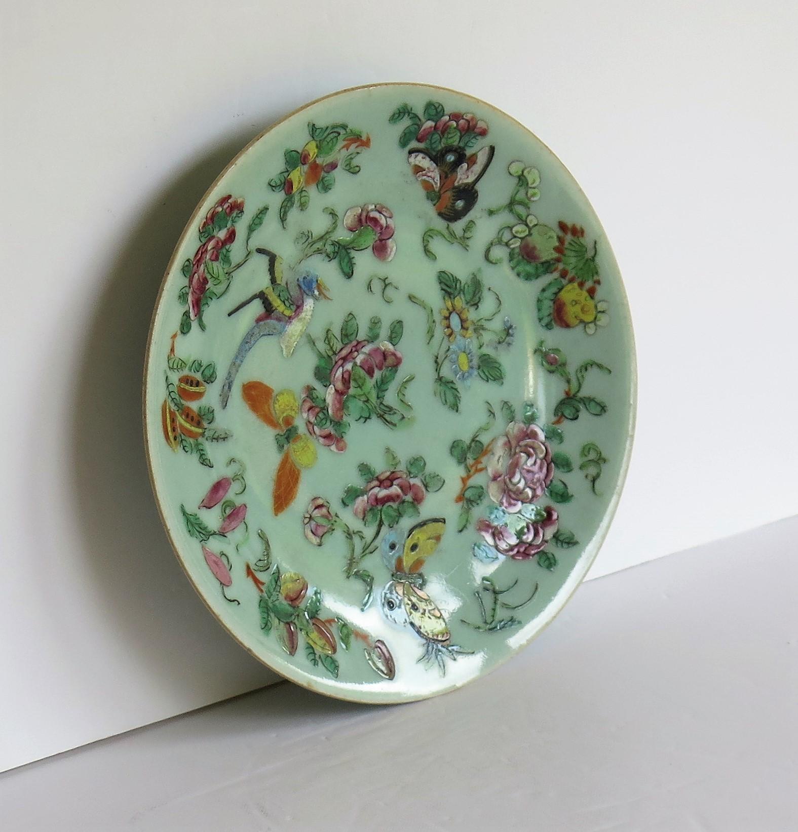 19th Century Chinese Export Porcelain Plate or Dish Celadon Glaze Hand Painted, Qing Ca 1820