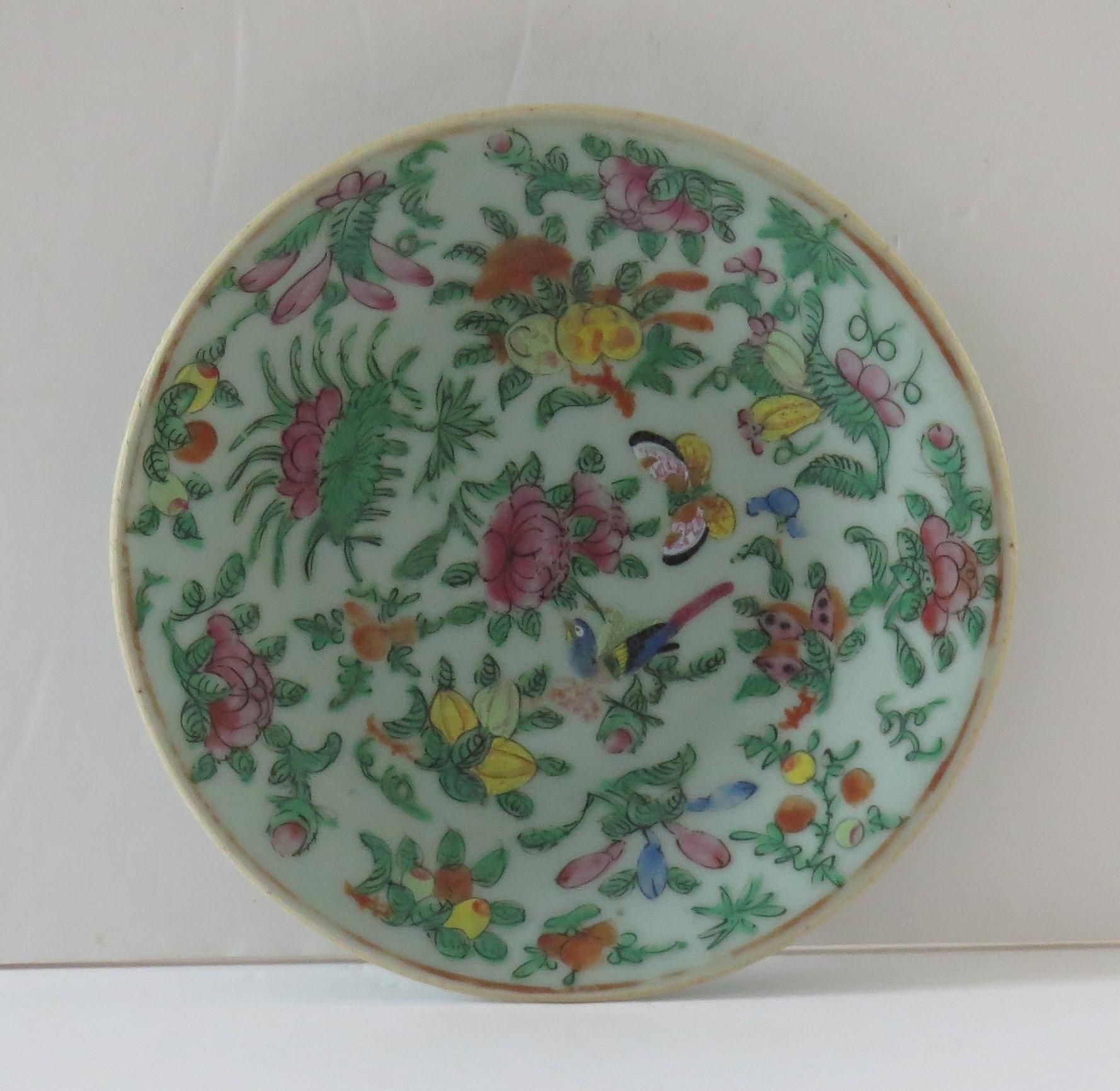 Chinesischer Export-Porzellanteller oder Schale aus Celadonglasur, handbemalt, Qing Ca. 1820 im Zustand „Gut“ im Angebot in Lincoln, Lincolnshire