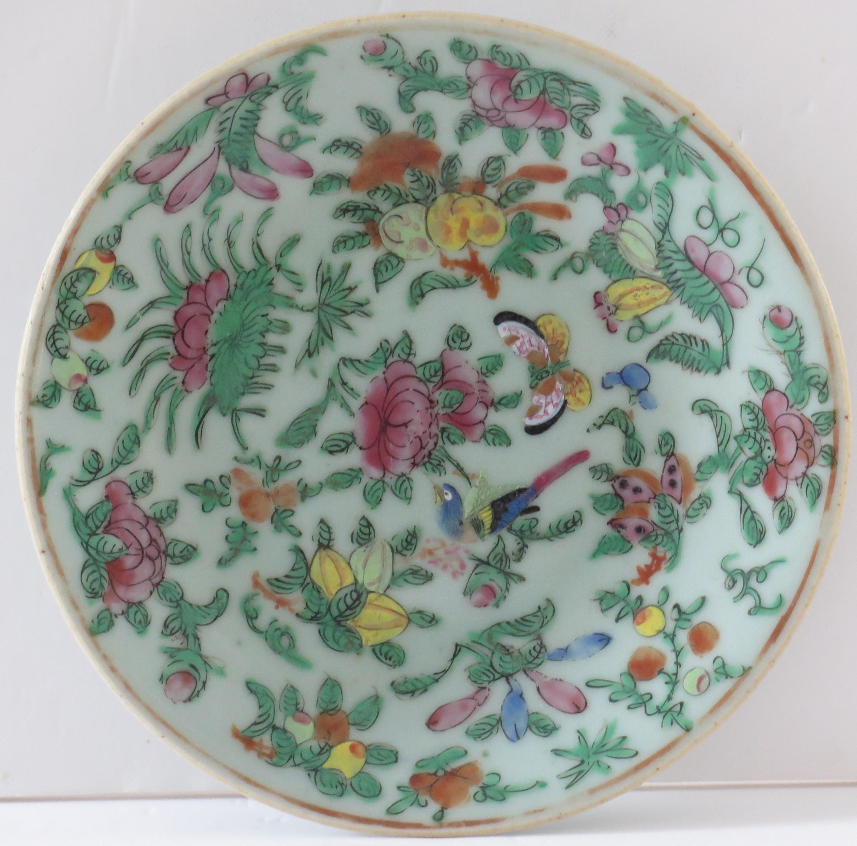 Chinesischer Export-Porzellanteller oder Schale aus Celadonglasur, handbemalt, Qing Ca. 1820 (19. Jahrhundert) im Angebot