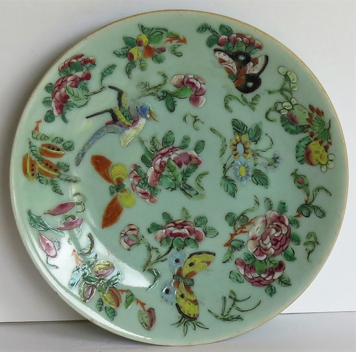 Chinese Export Porcelain Plate or Dish Celadon Glaze Hand Painted, Qing Ca 1820 2