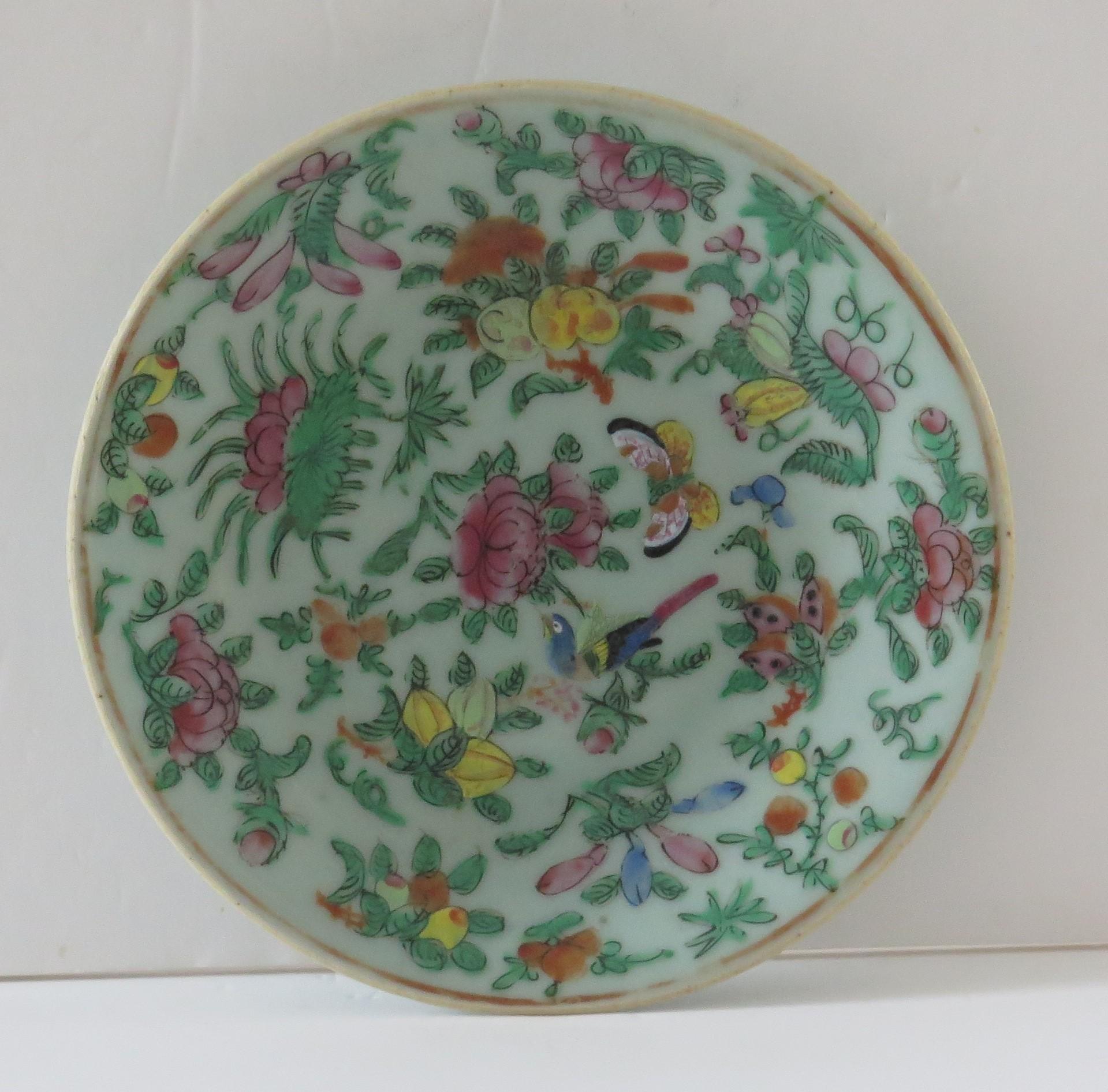 Chinese Export Porcelain Plate or Dish Celadon Glaze Hand Painted, Qing Ca 1820 In Good Condition For Sale In Lincoln, Lincolnshire