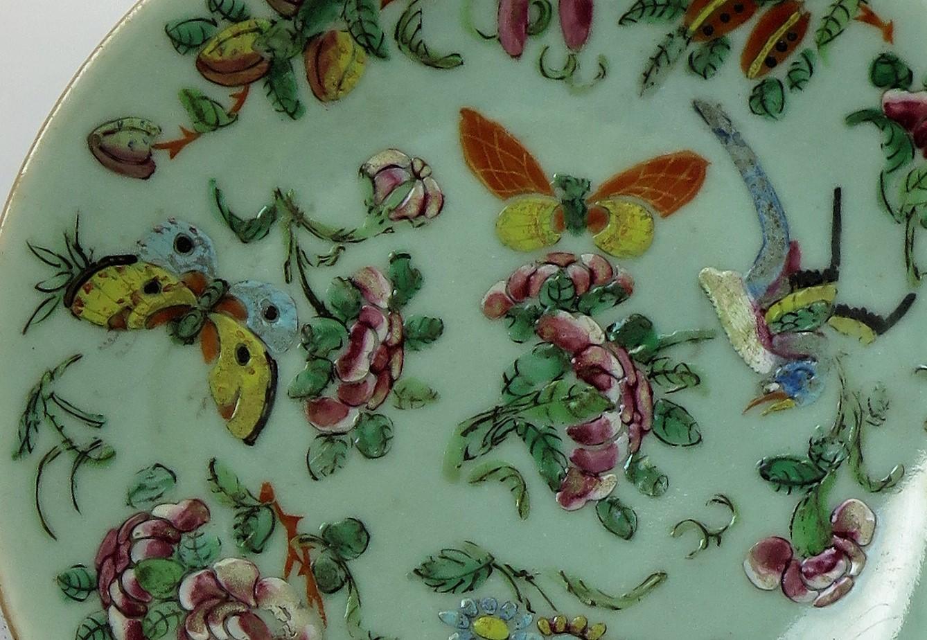 Chinese Export Porcelain Plate or Dish Celadon Glaze Hand Painted, Qing Ca 1820 3