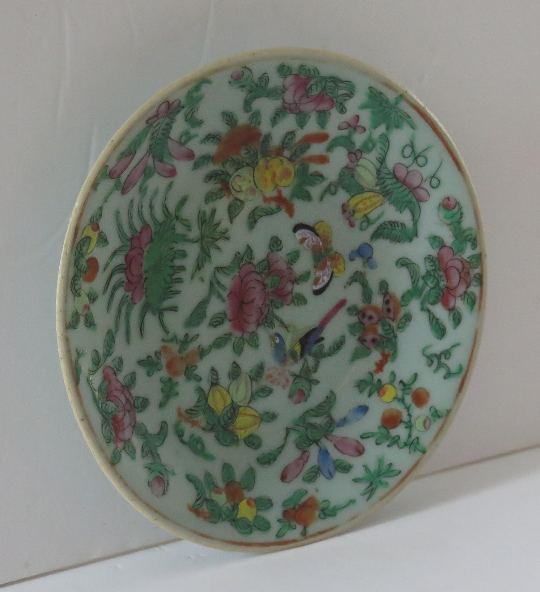 19th Century Chinese Export Porcelain Plate or Dish Celadon Glaze Hand Painted, Qing Ca 1820 For Sale