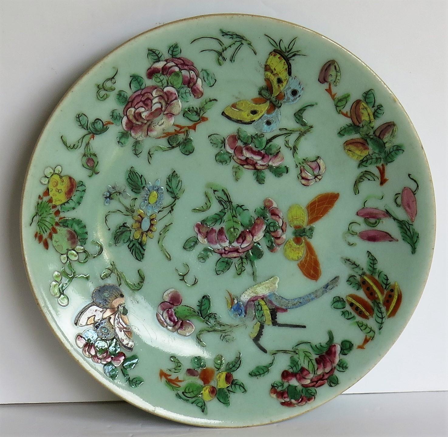 Chinese Export Porcelain Plate or Dish Celadon Glaze Hand Painted, Qing Ca 1820 4