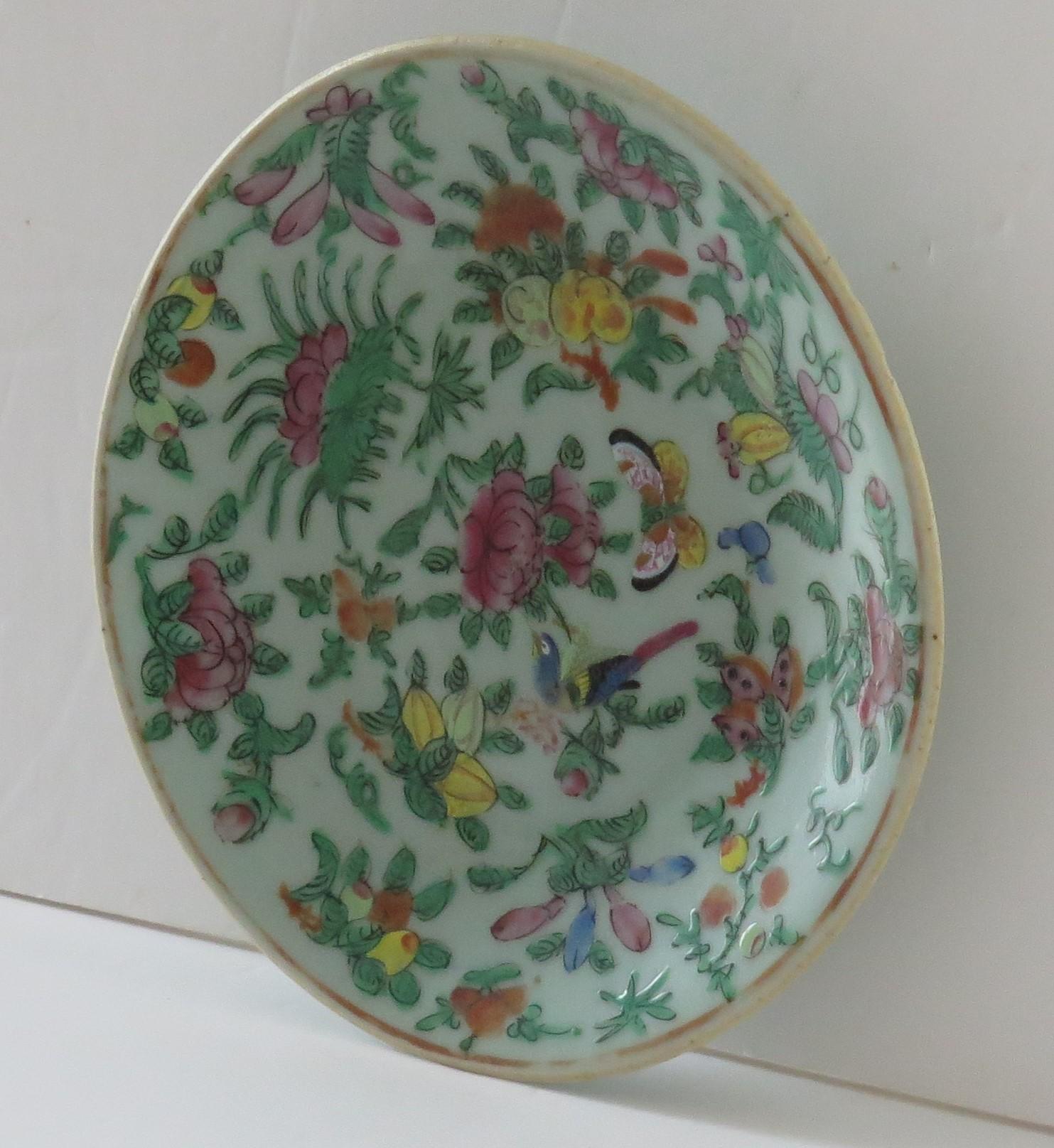 Chinese Export Porcelain Plate or Dish Celadon Glaze Hand Painted, Qing Ca 1820 For Sale 1