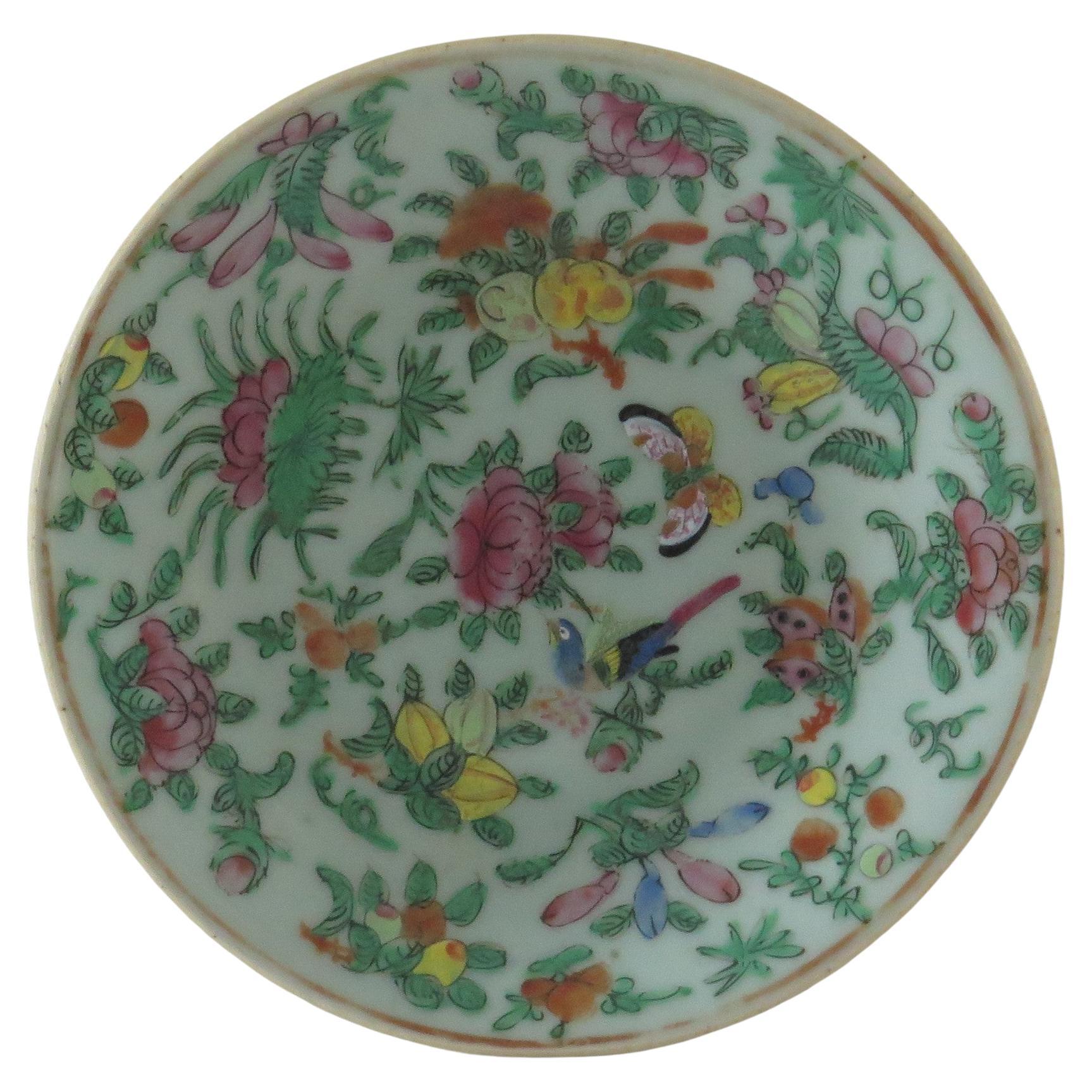 Chinese Export Porcelain Plate or Dish Celadon Glaze Hand Painted, Qing Ca 1820