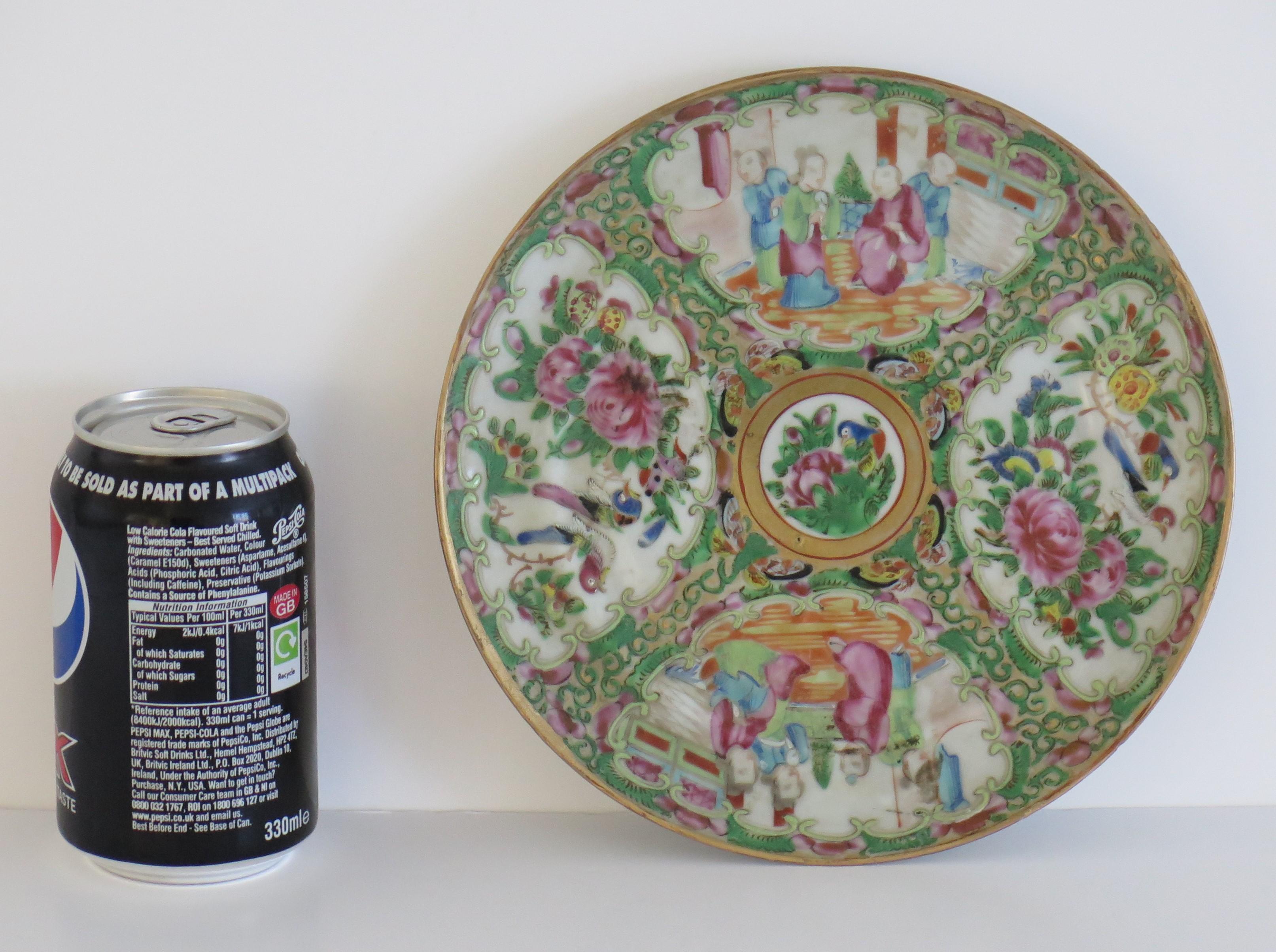 Chinese Export Porcelain Plate Rose Medallion Hand Painted, Qing, circa 1875 For Sale 9