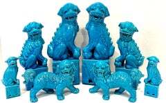 Chinese Export Turquoise Foo Dogs, A Collection