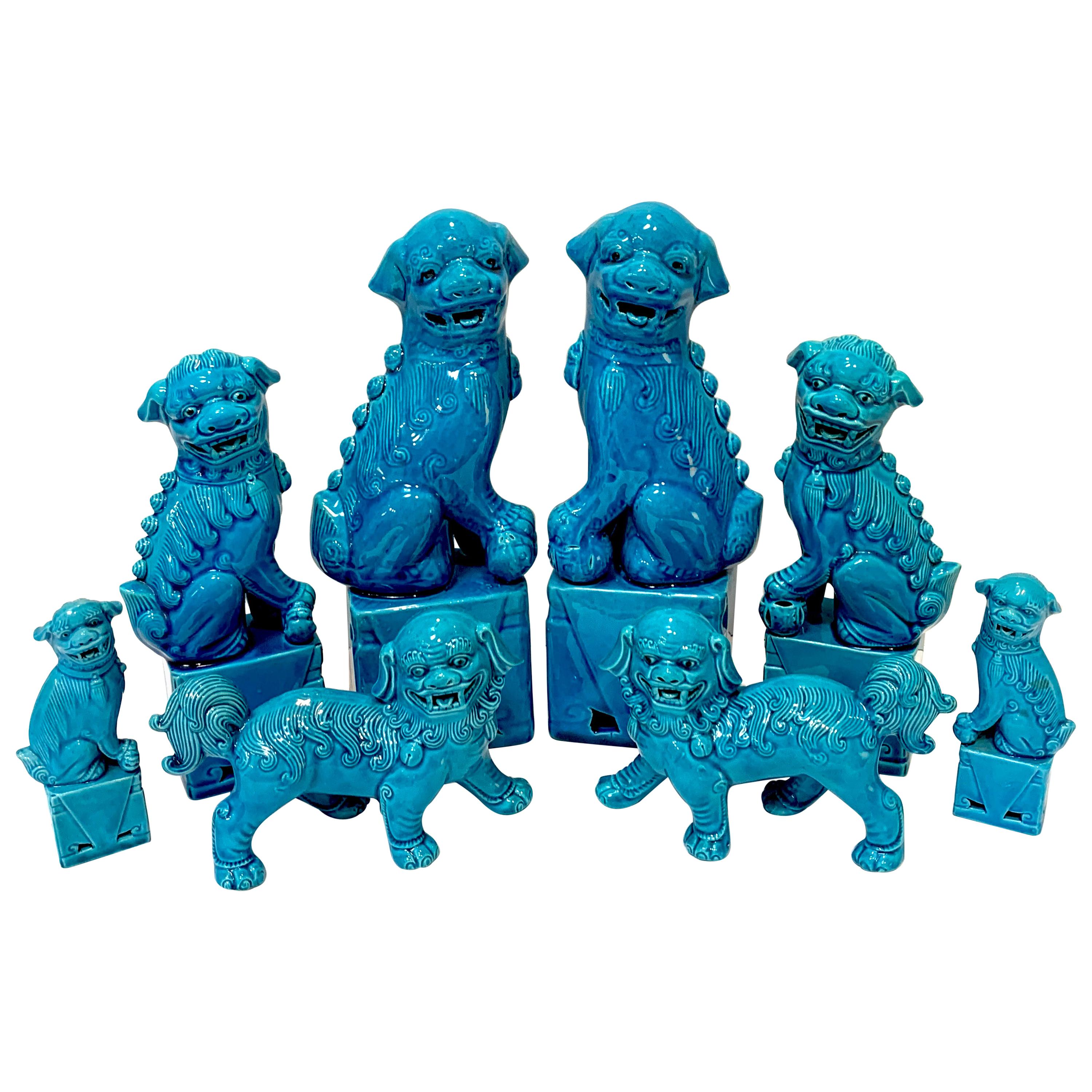 Chinese Export Turquoise Foo Dogs, A Collection