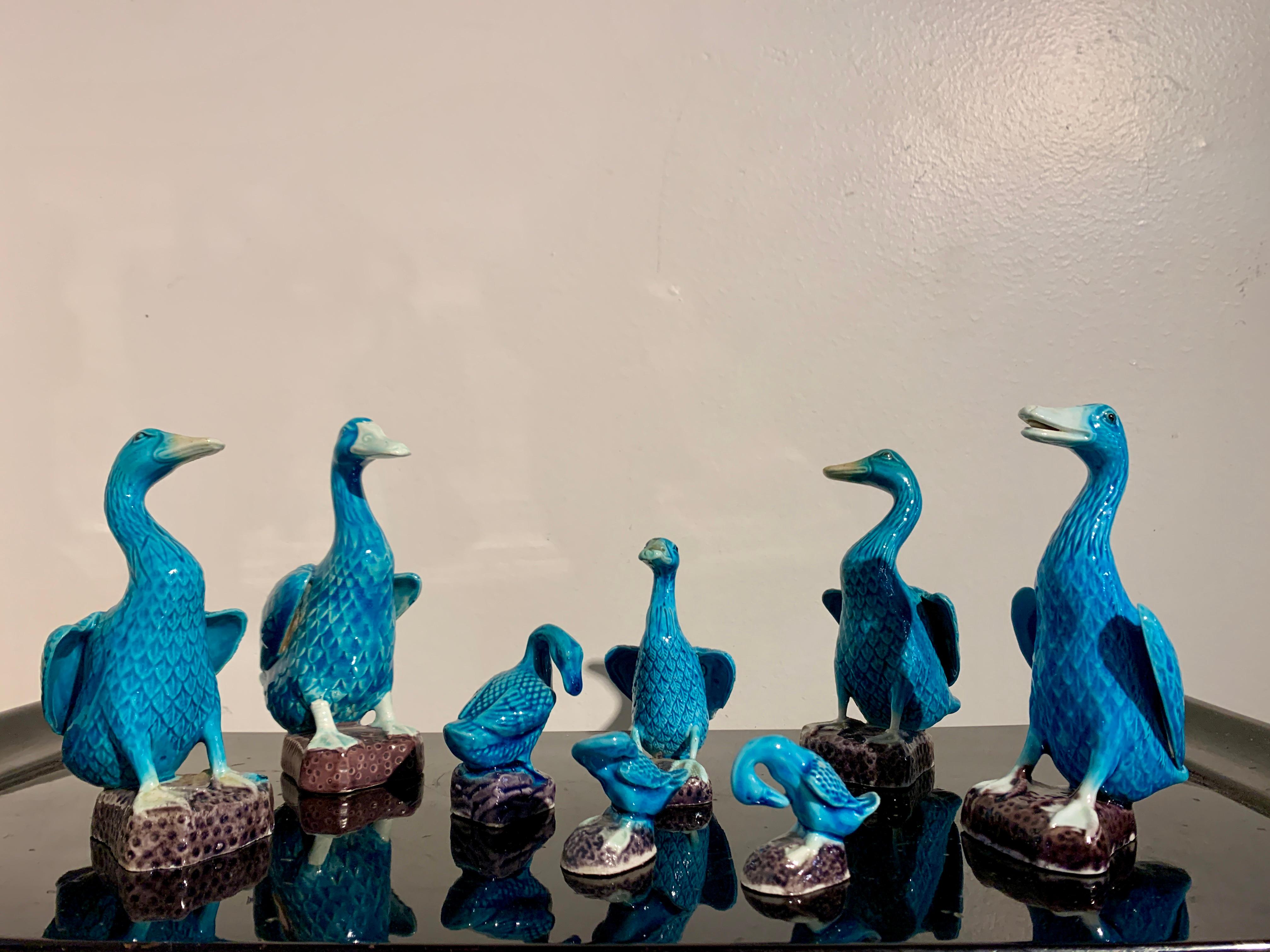 An absolutely delightful flock of eight vintage Chinese export turquoise glazed porcelain ducks, circa 1970's, China and Hong Kong.

The flock consists of eight ducks of various sizes, including five of medium size, and three of smaller size. The
