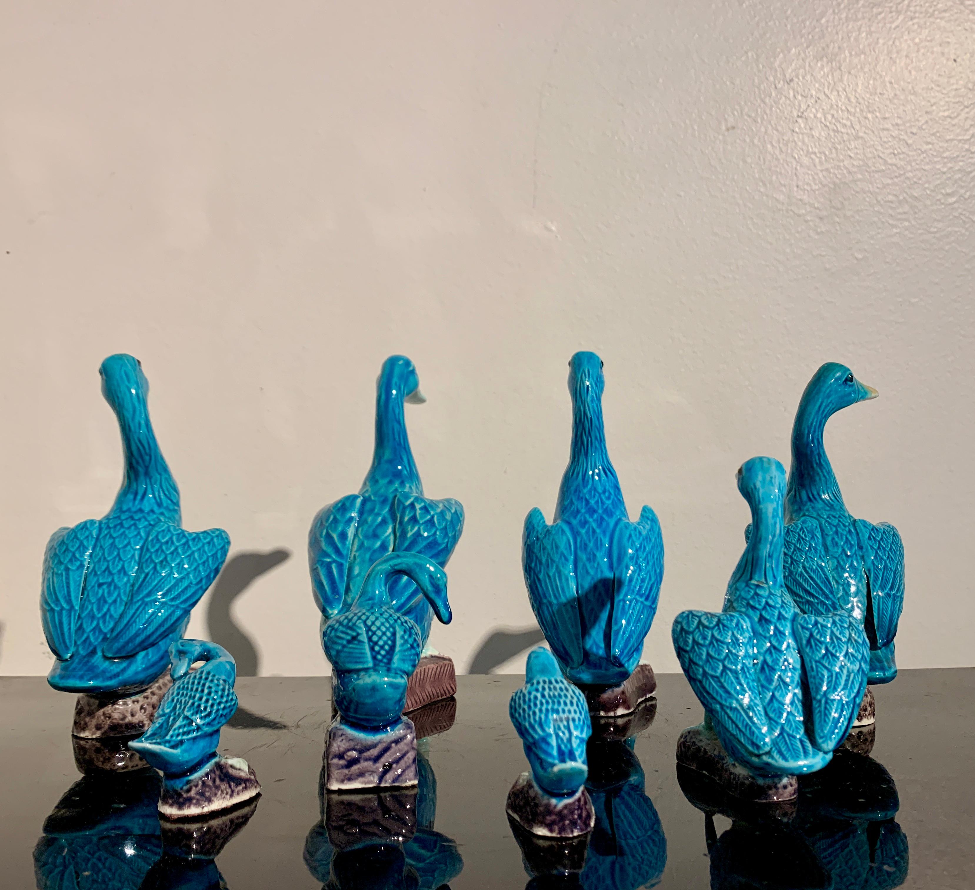 Chinese Export Turquoise Glazed Ducks, Flock of 8, 1970's, China and Hong Kong In Good Condition For Sale In Austin, TX