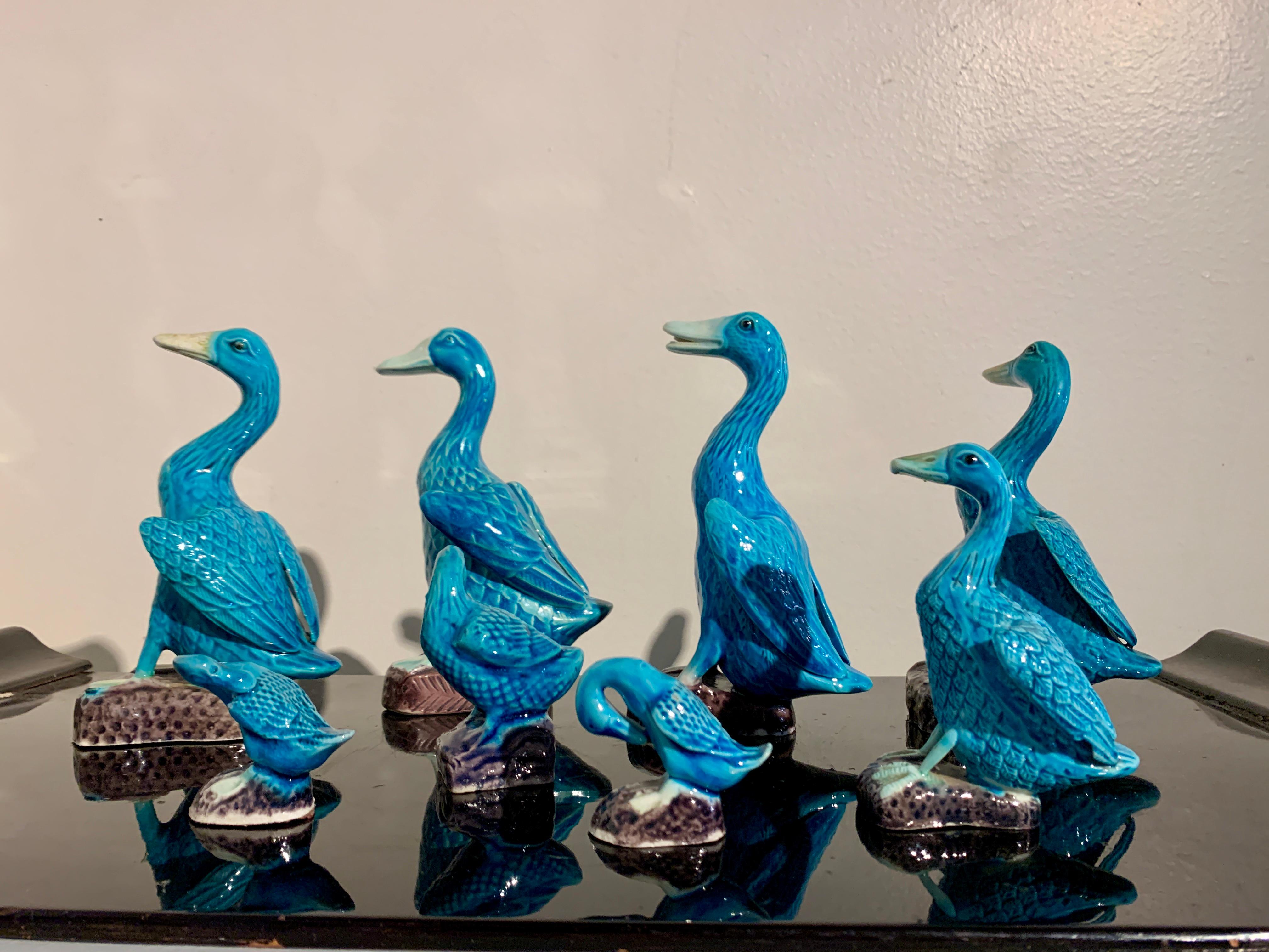 Late 20th Century Chinese Export Turquoise Glazed Ducks, Flock of 8, 1970's, China and Hong Kong For Sale