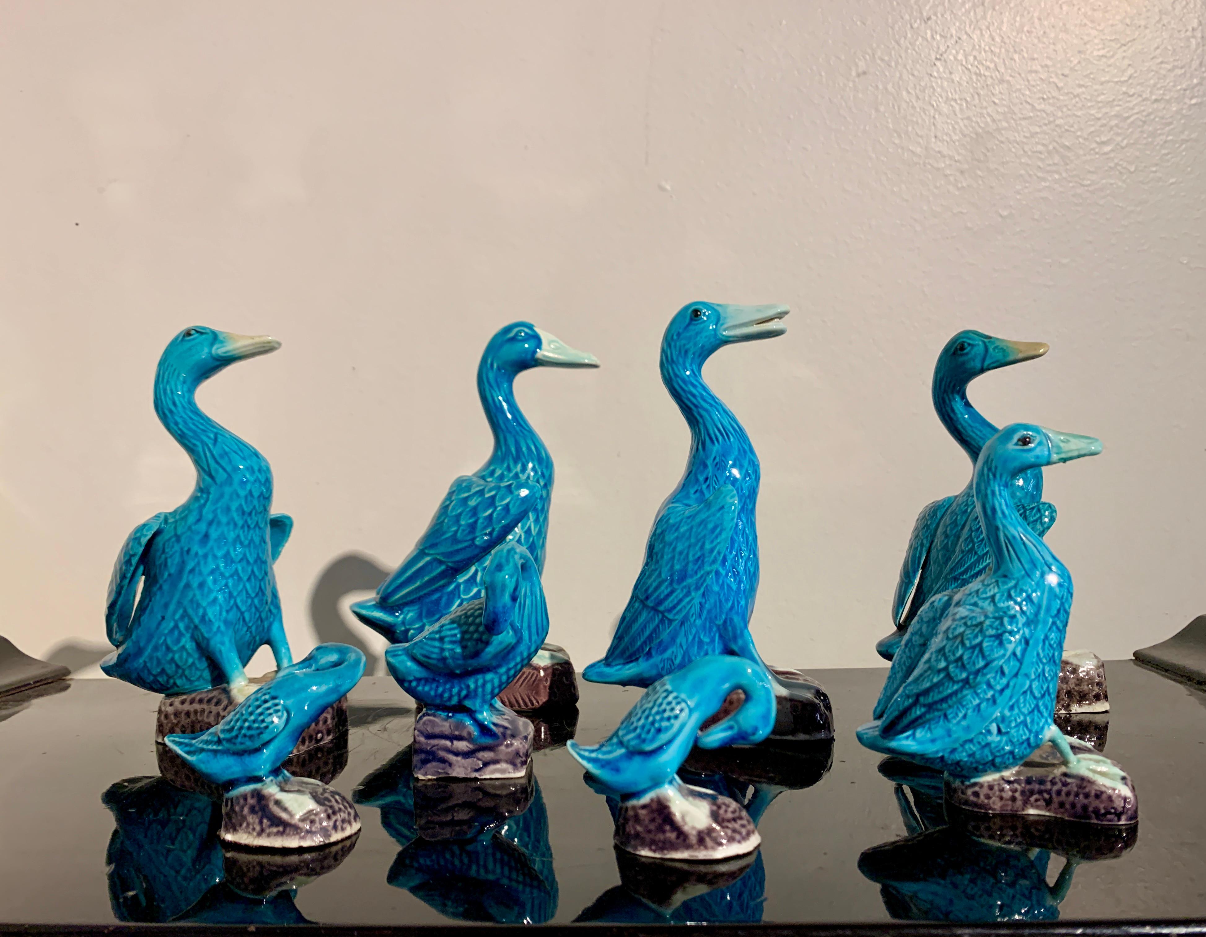 Porcelain Chinese Export Turquoise Glazed Ducks, Flock of 8, 1970's, China and Hong Kong For Sale