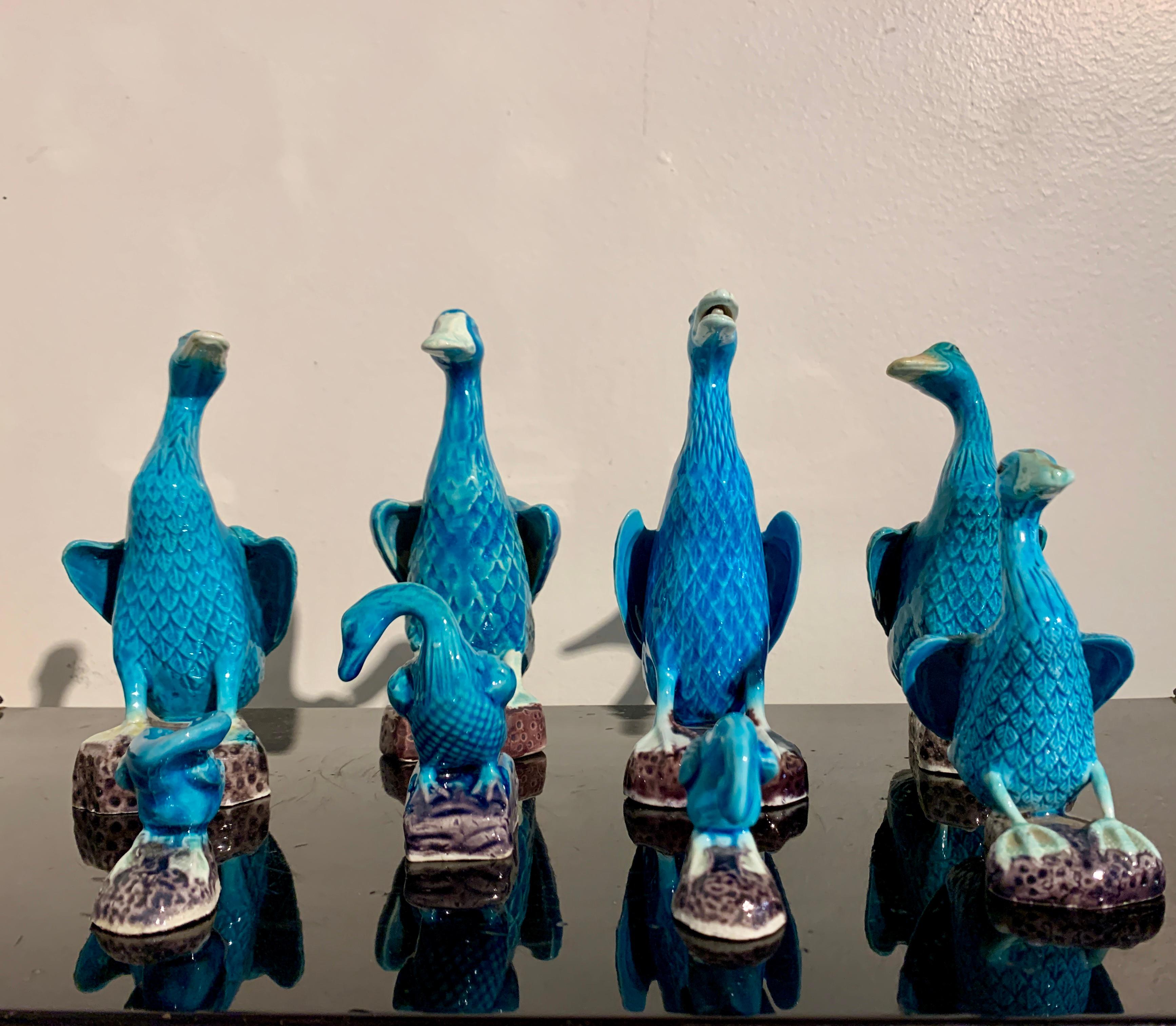 Chinese Export Turquoise Glazed Ducks, Flock of 8, 1970's, China and Hong Kong For Sale 1