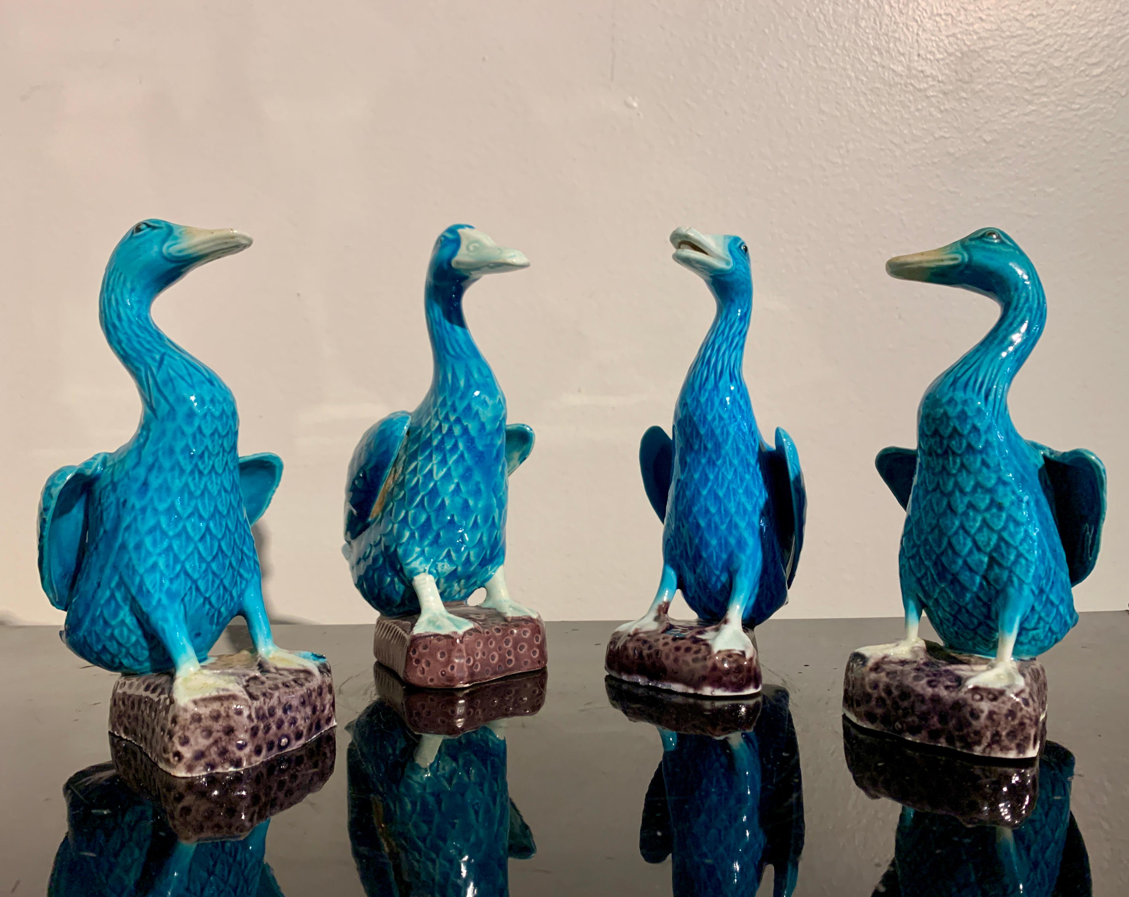 Chinese Export Turquoise Glazed Ducks, Flock of 8, 1970's, China and Hong Kong 2