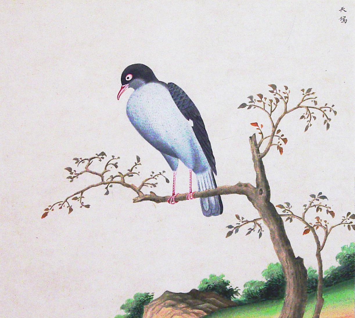 Chinese Export Watercolor Exotic Bird Paintings on Paper For Sale 4