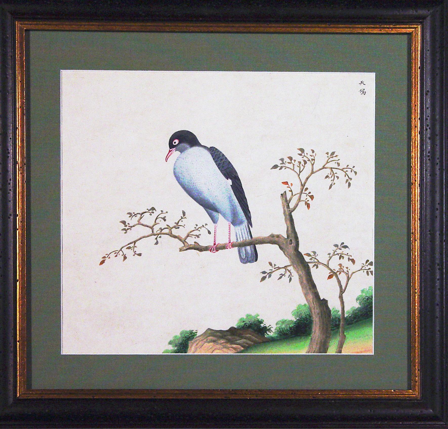 Chinese Export Watercolor Exotic Bird Paintings on Paper For Sale 5
