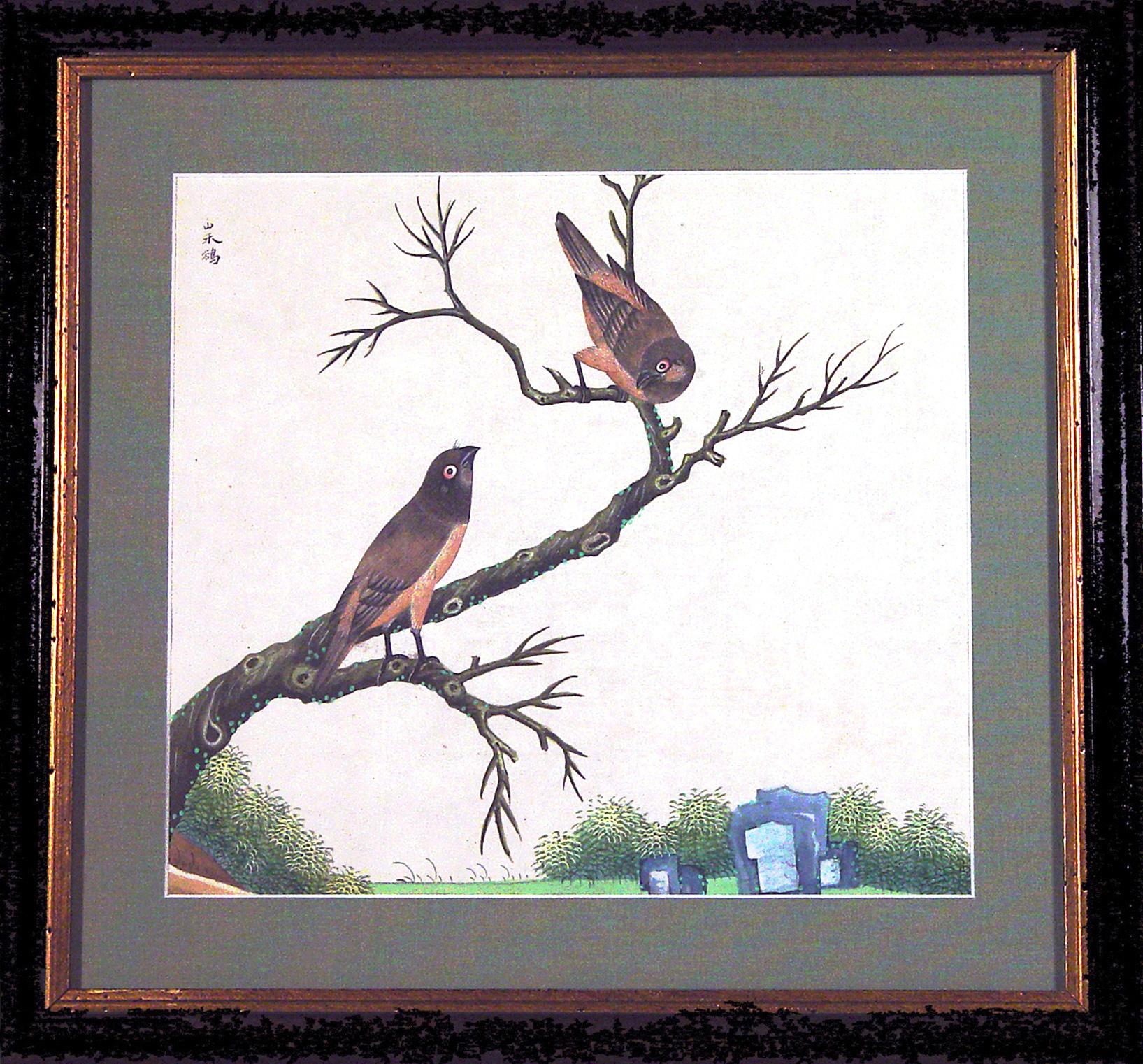 Chinese Export Watercolor Exotic Bird Paintings on Paper For Sale 6