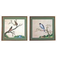 Chinese Export Watercolor Exotic Bird Paintings on Paper