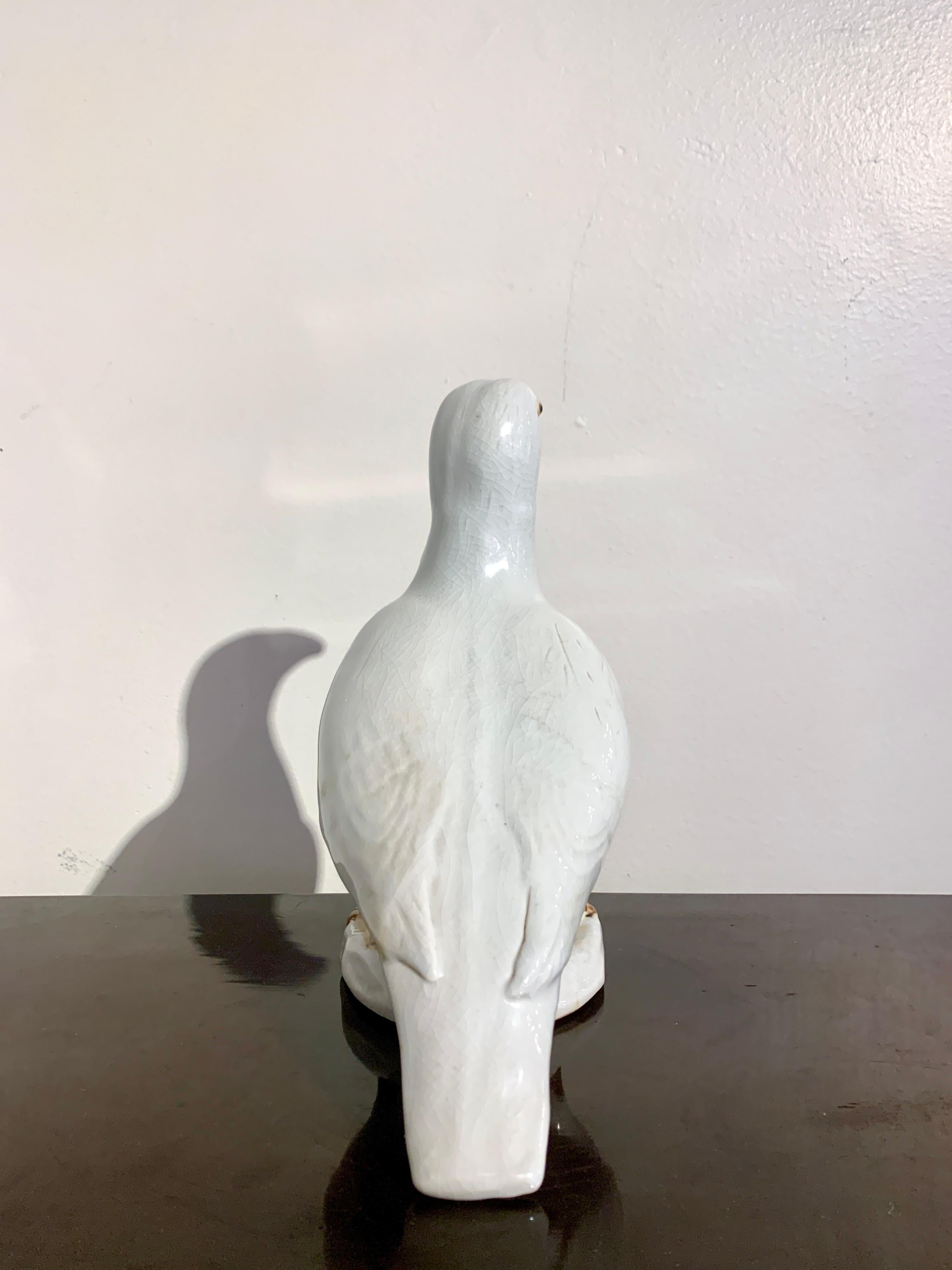 Chinese Export White Glazed Porcelain Dove, Early-Mid 20th Century, China 2