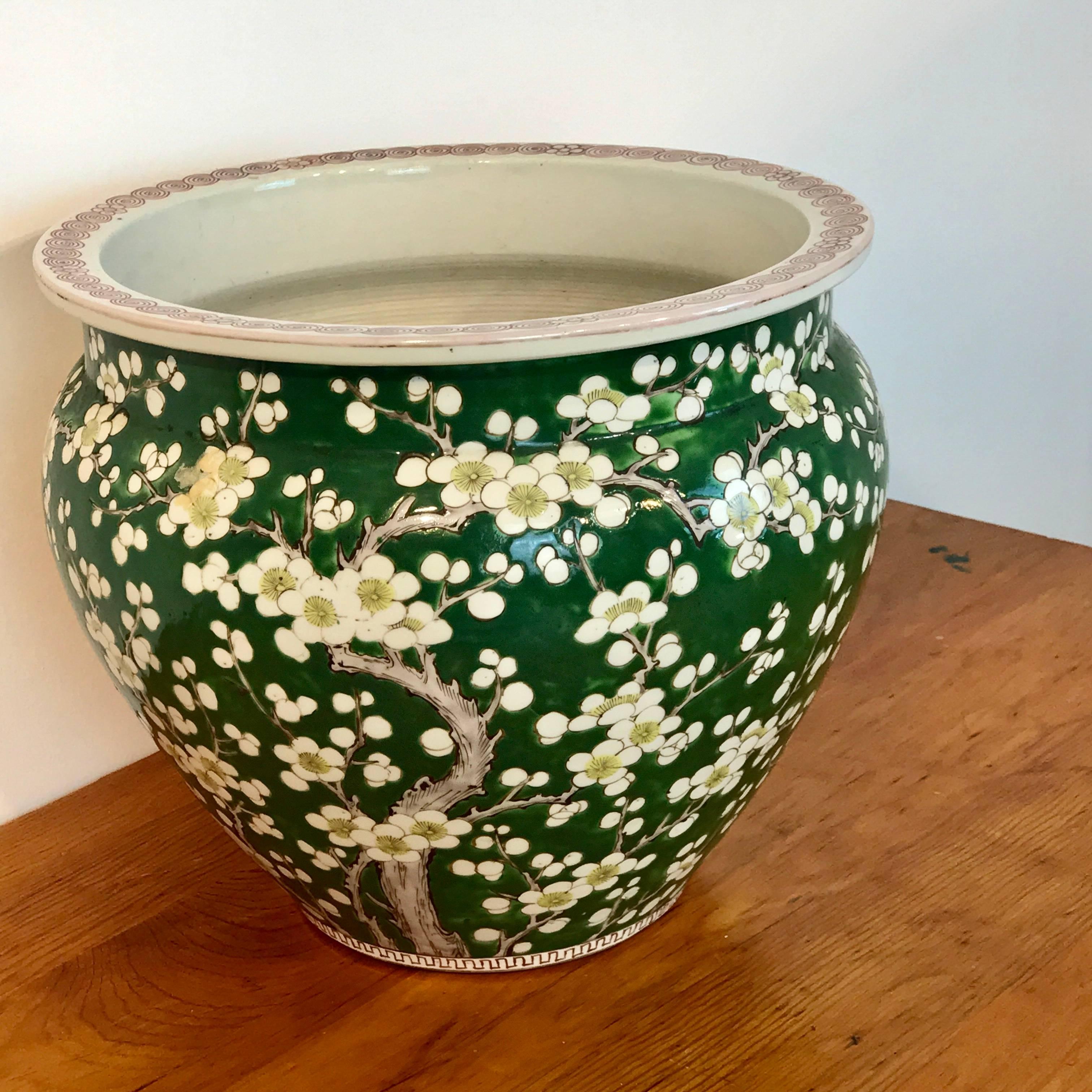 Porcelaine Jardinière chinoise de la famille Verte avec fleurs de cerisier, en vert