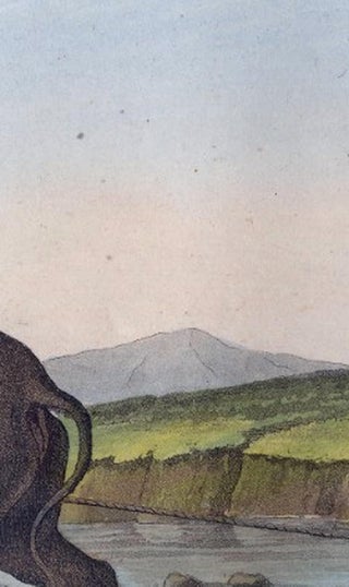 Chinese Farmer with Water Buffalo, Agricultural Scene, Ferrario Print of 1815, view 10