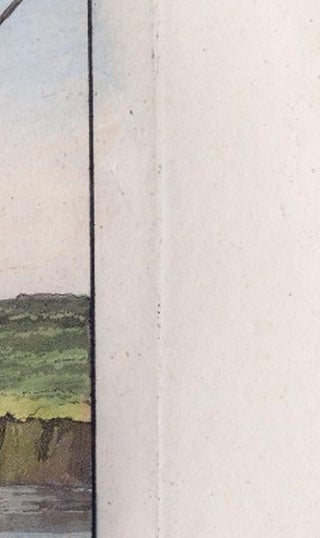 Chinese Farmer with Water Buffalo, Agricultural Scene, Ferrario Print of 1815, view 12