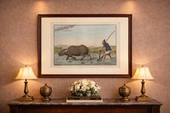 Chinese Farmer with Water Buffalo, Agricultural Scene – Ferrario Print of 1815