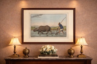Chinese Farmer with Water Buffalo, Agricultural Scene, Ferrario Print of 1815, view 2